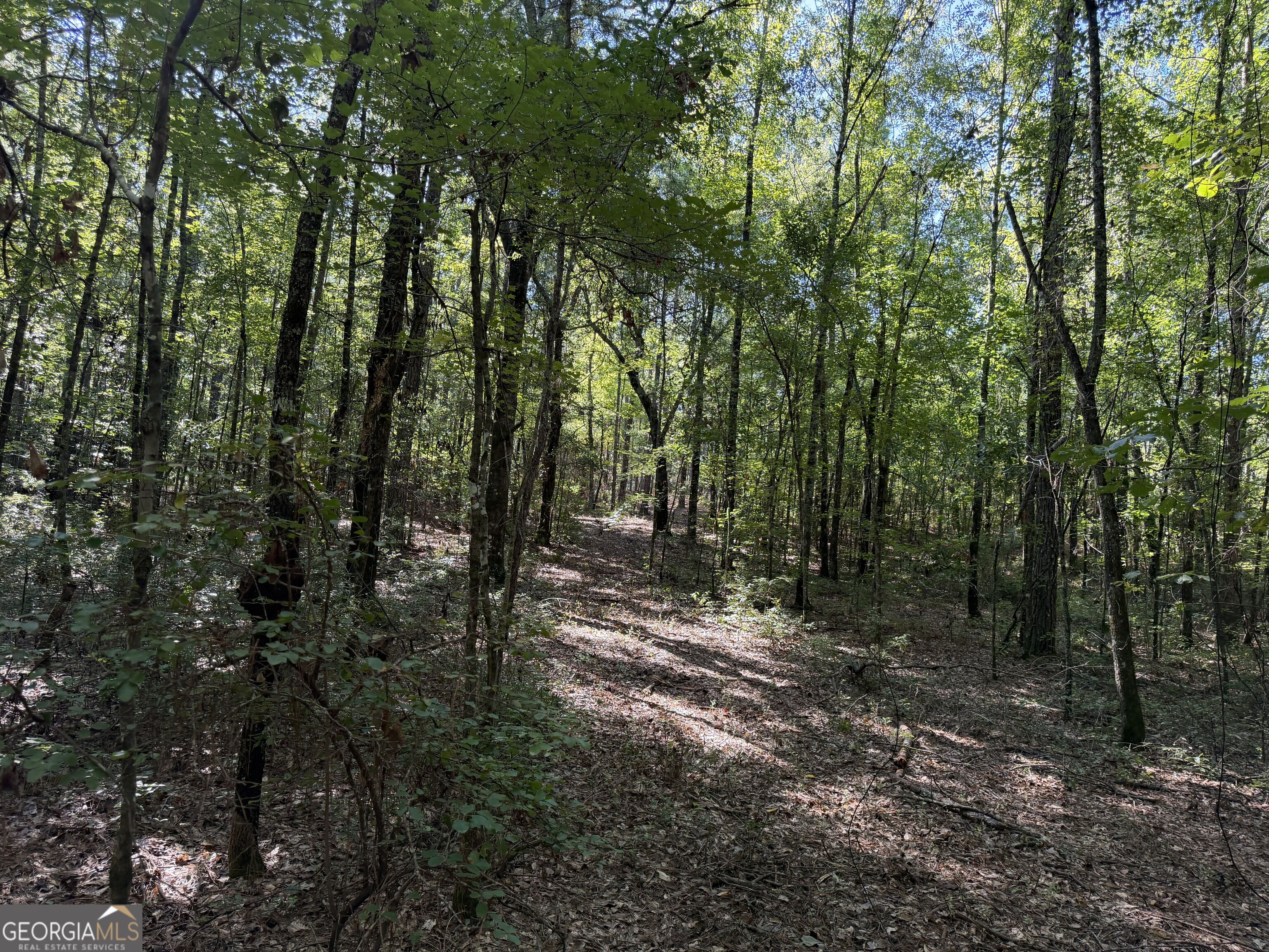 0 Pig Road Property Photo 23