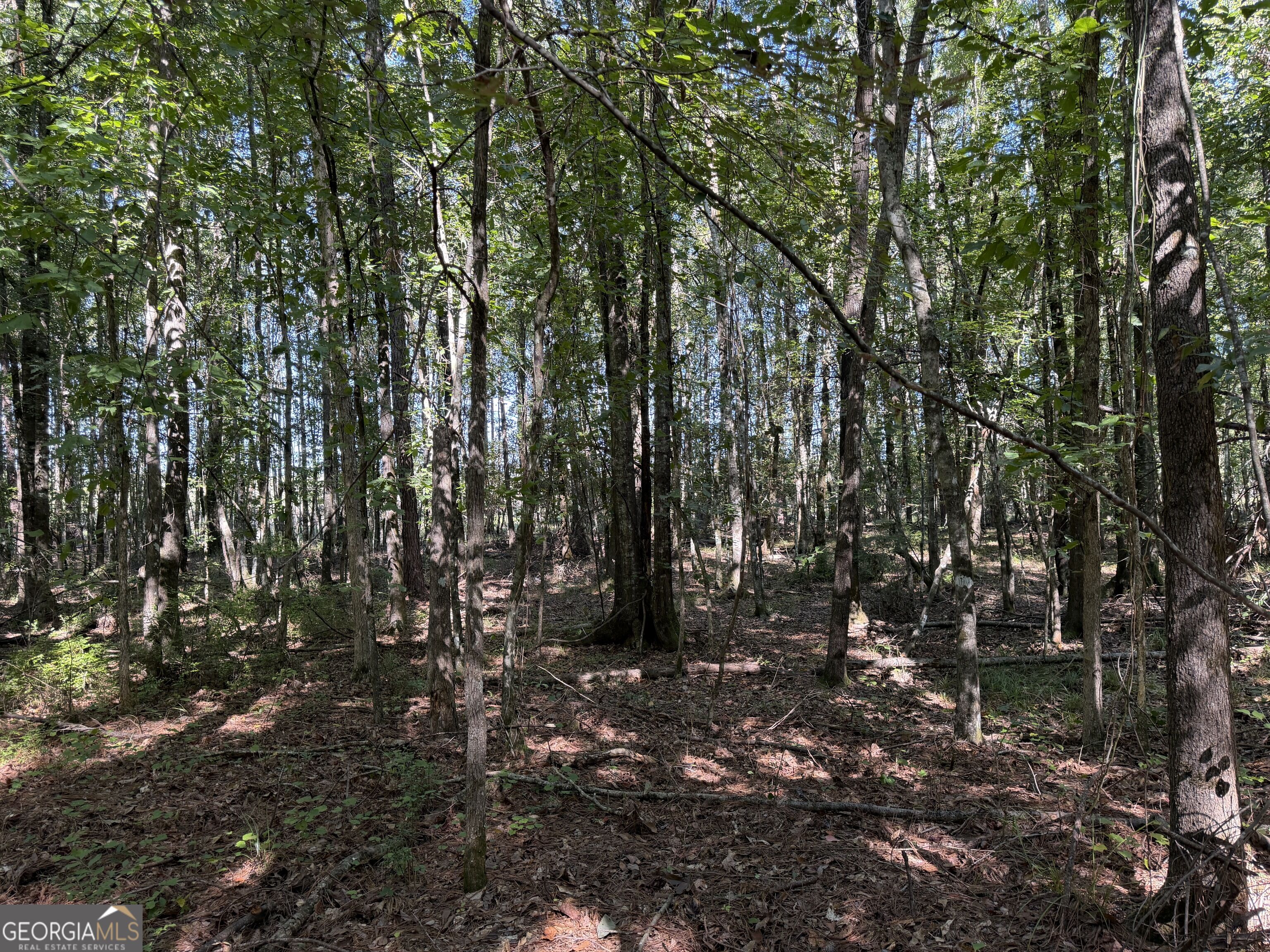 0 Pig Road Property Photo 24