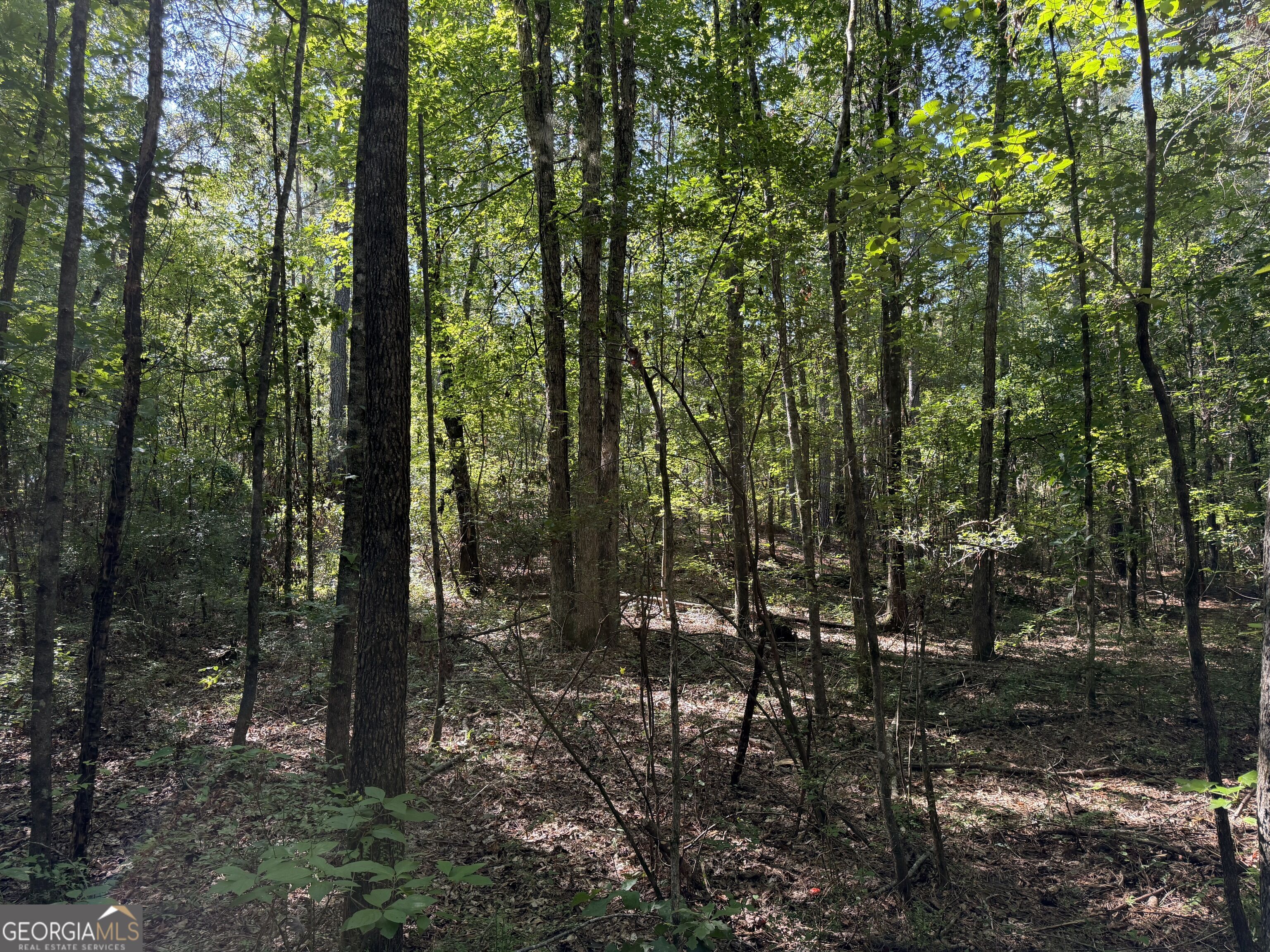 0 Pig Road Property Photo 25