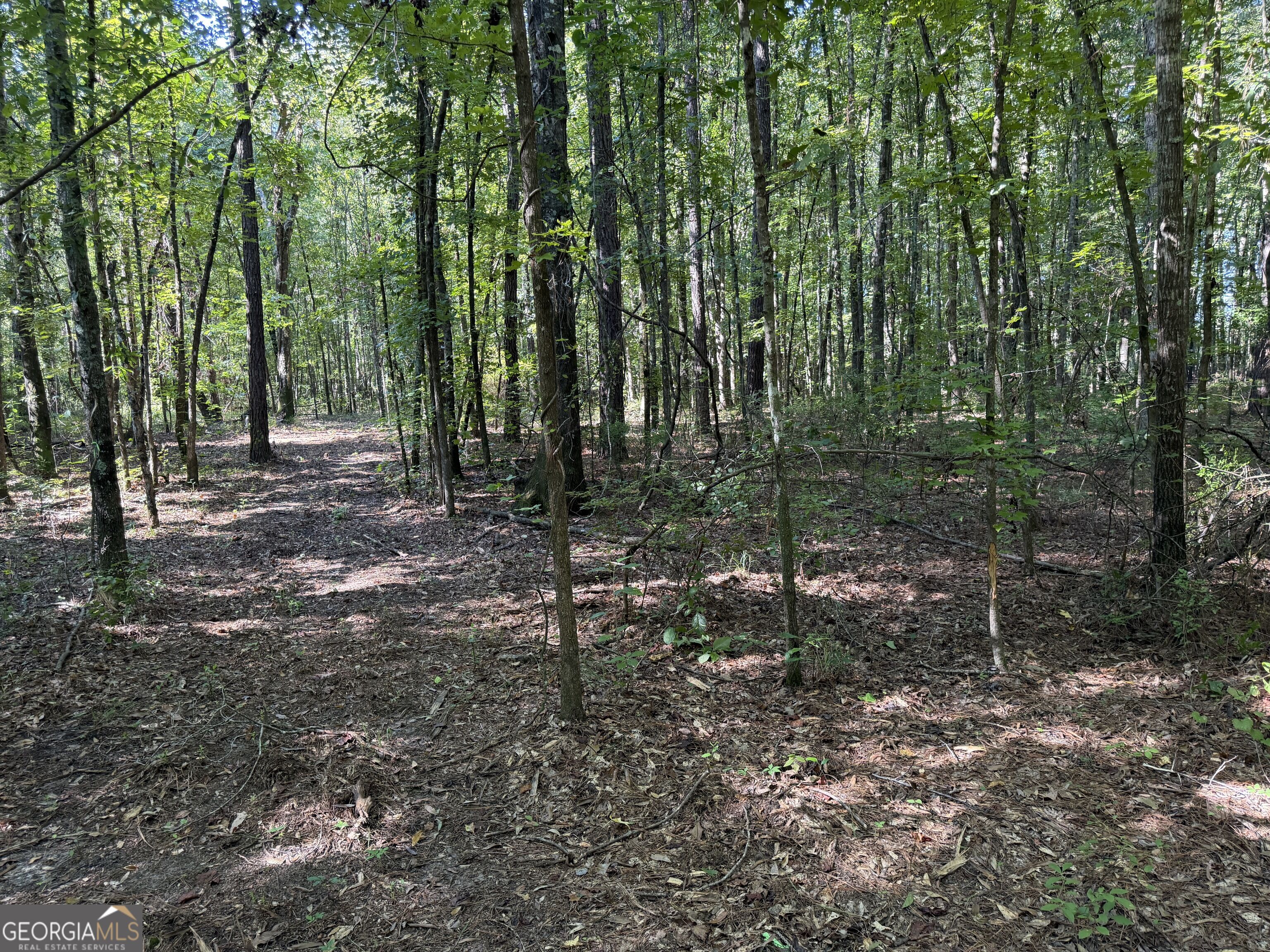 0 Pig Road Property Photo 27
