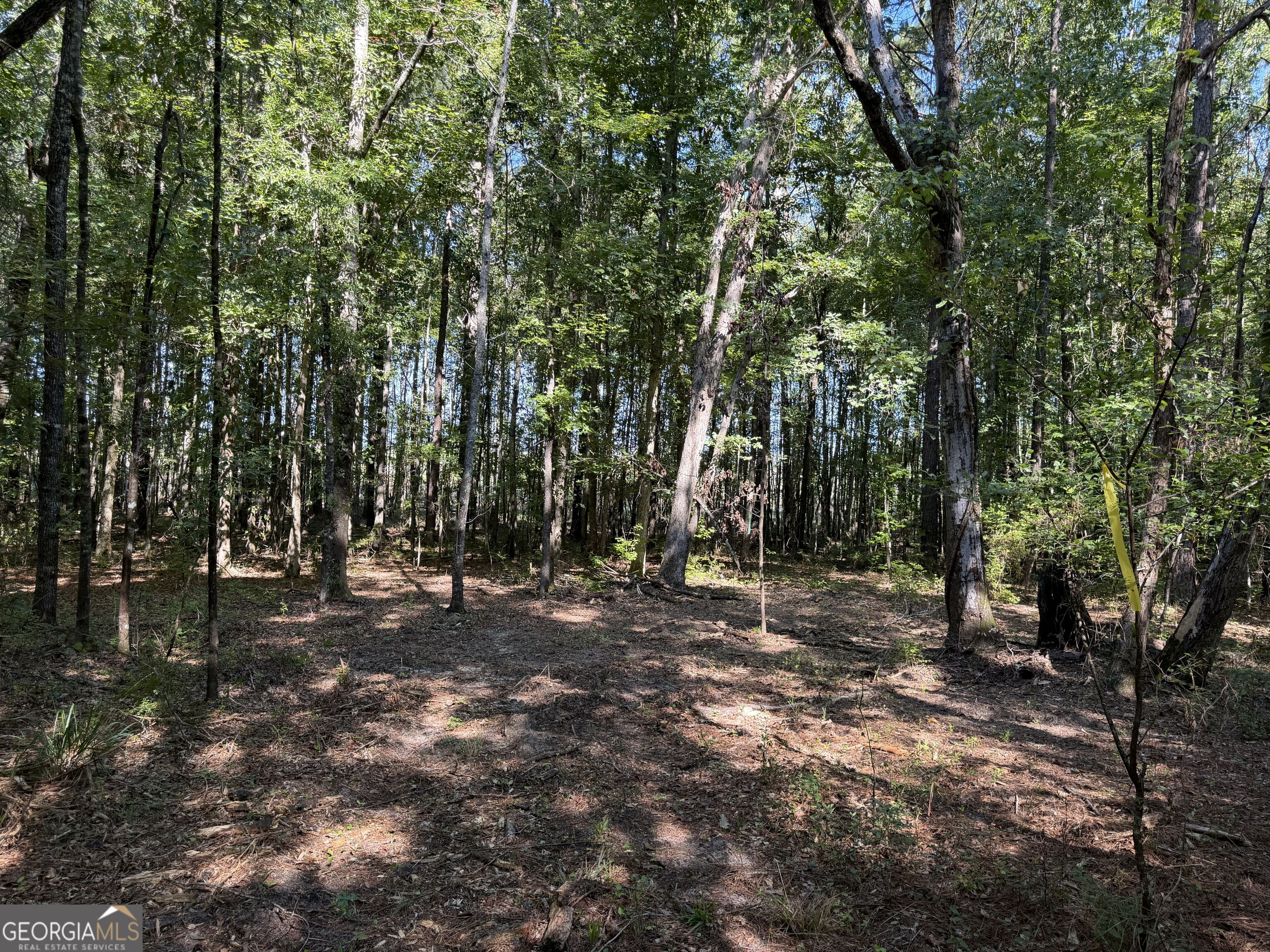 0 Pig Road Property Photo 28