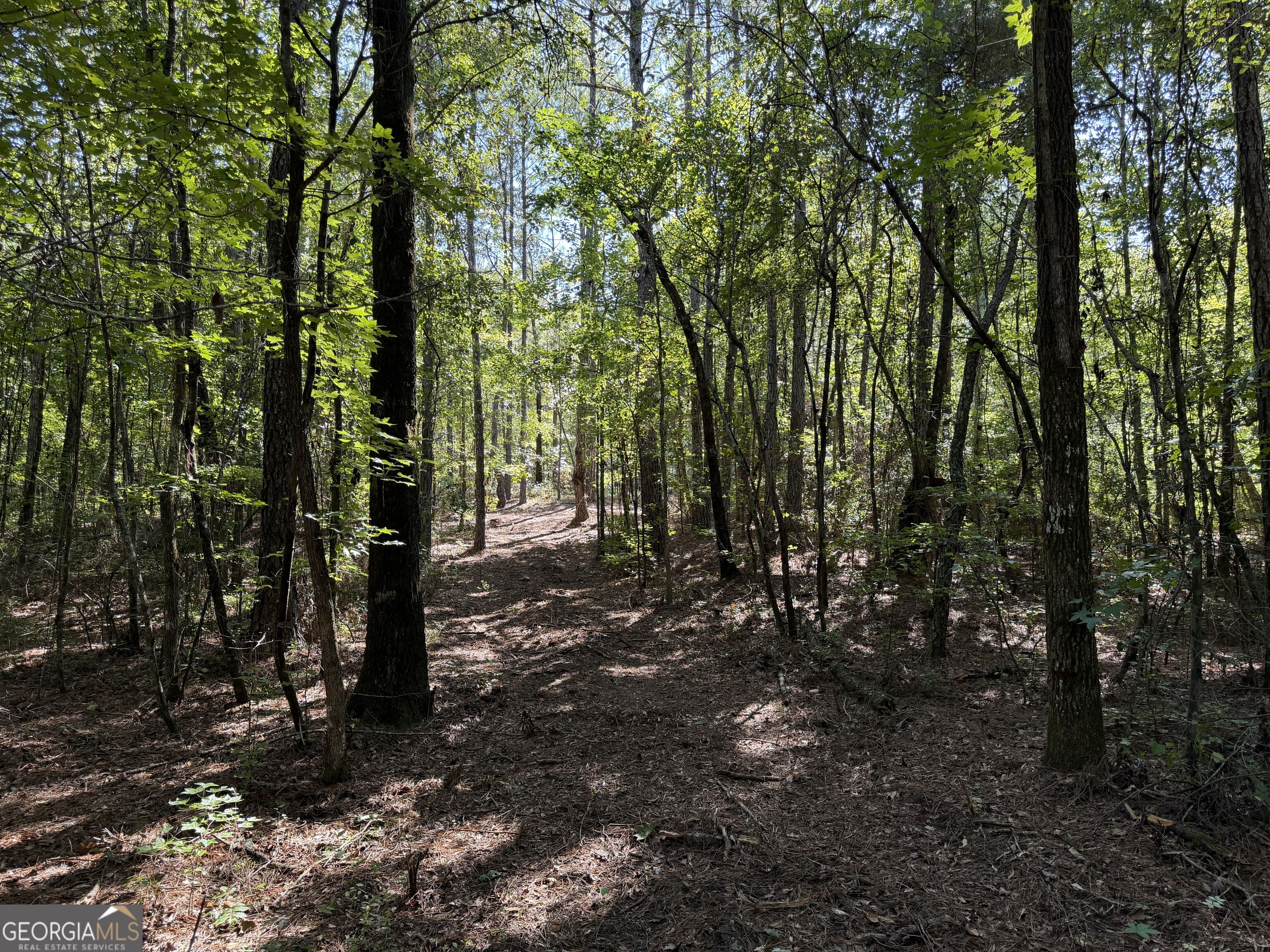 0 Pig Road Property Photo 29