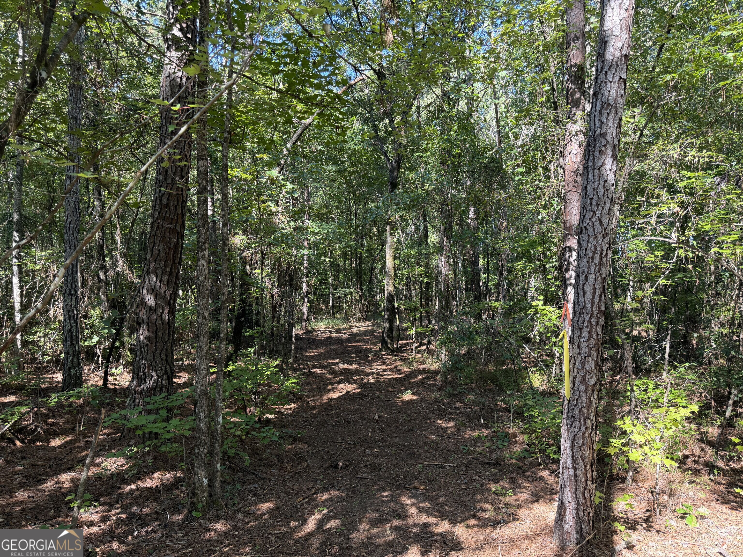 0 Pig Road Property Photo 30