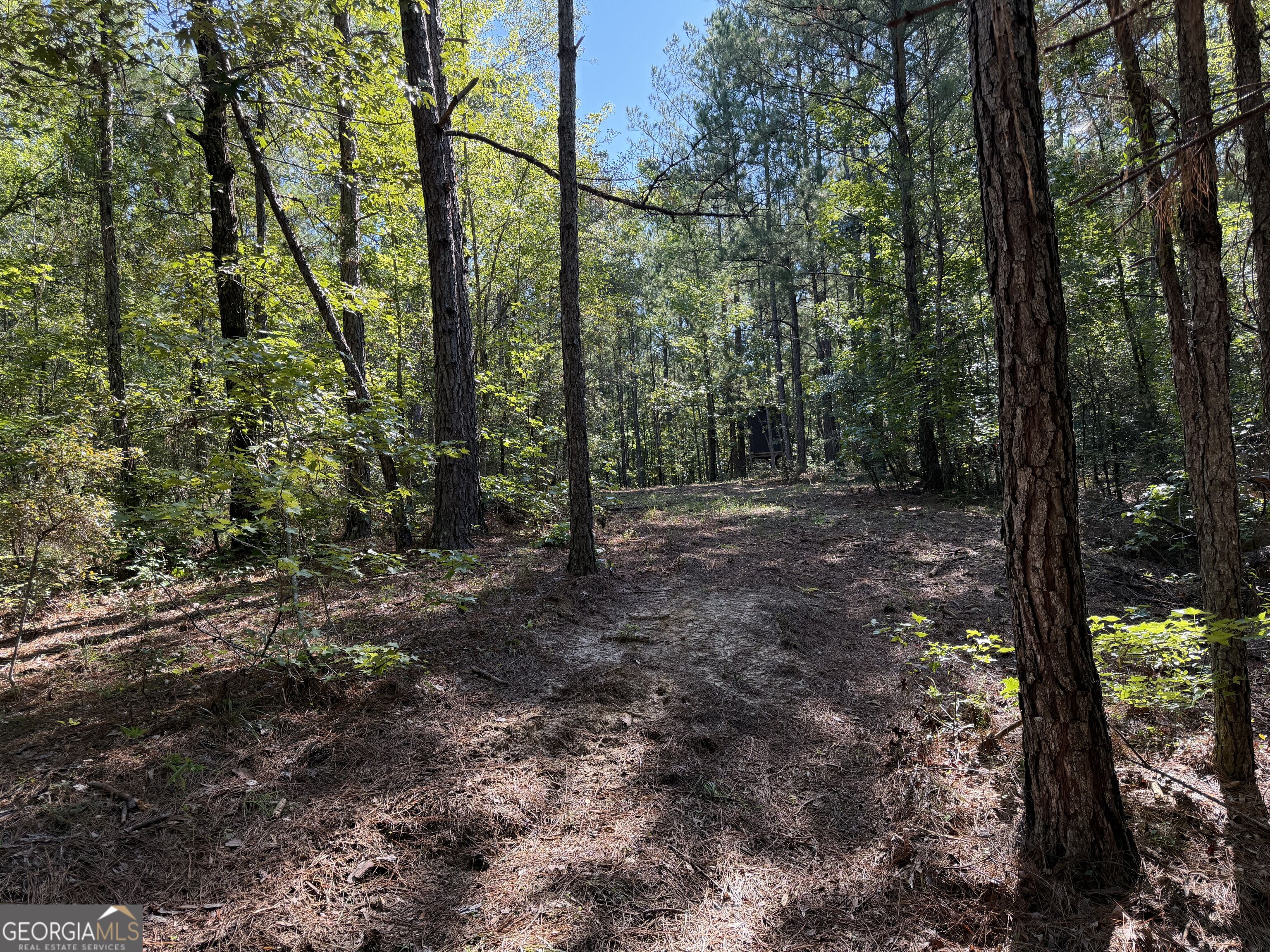 0 Pig Road Property Photo 31