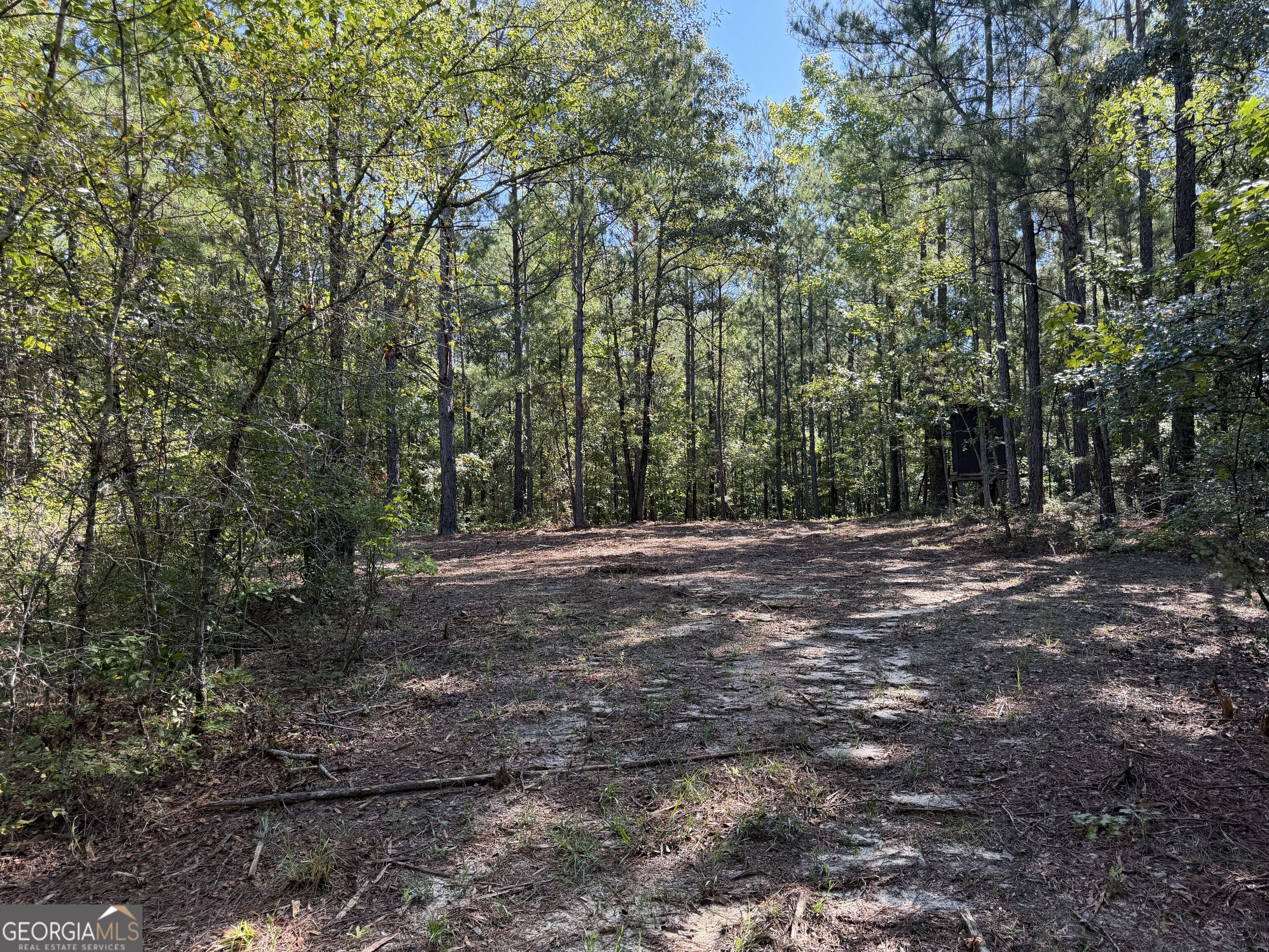 0 Pig Road Property Photo 32