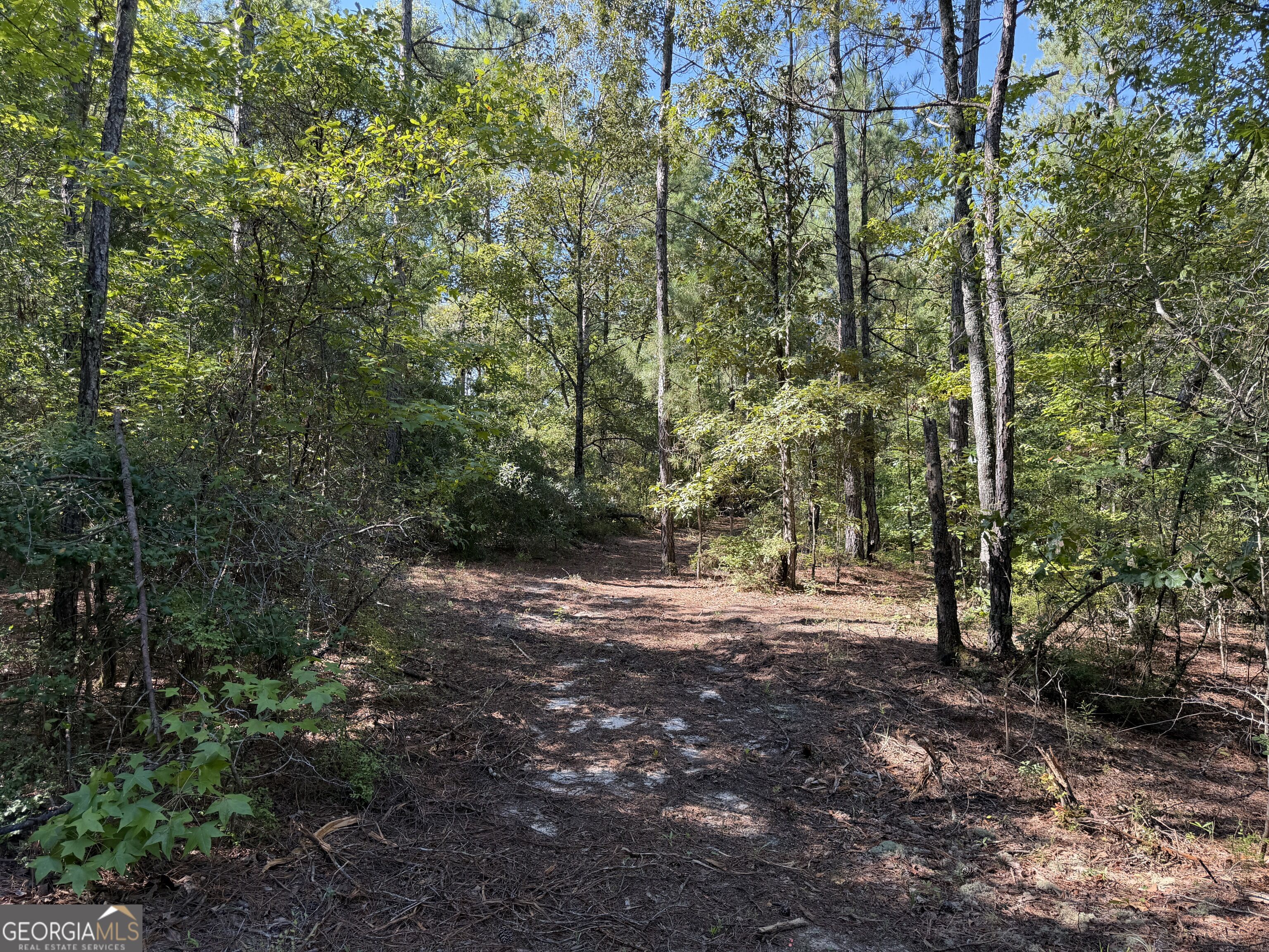 0 Pig Road Property Photo 33