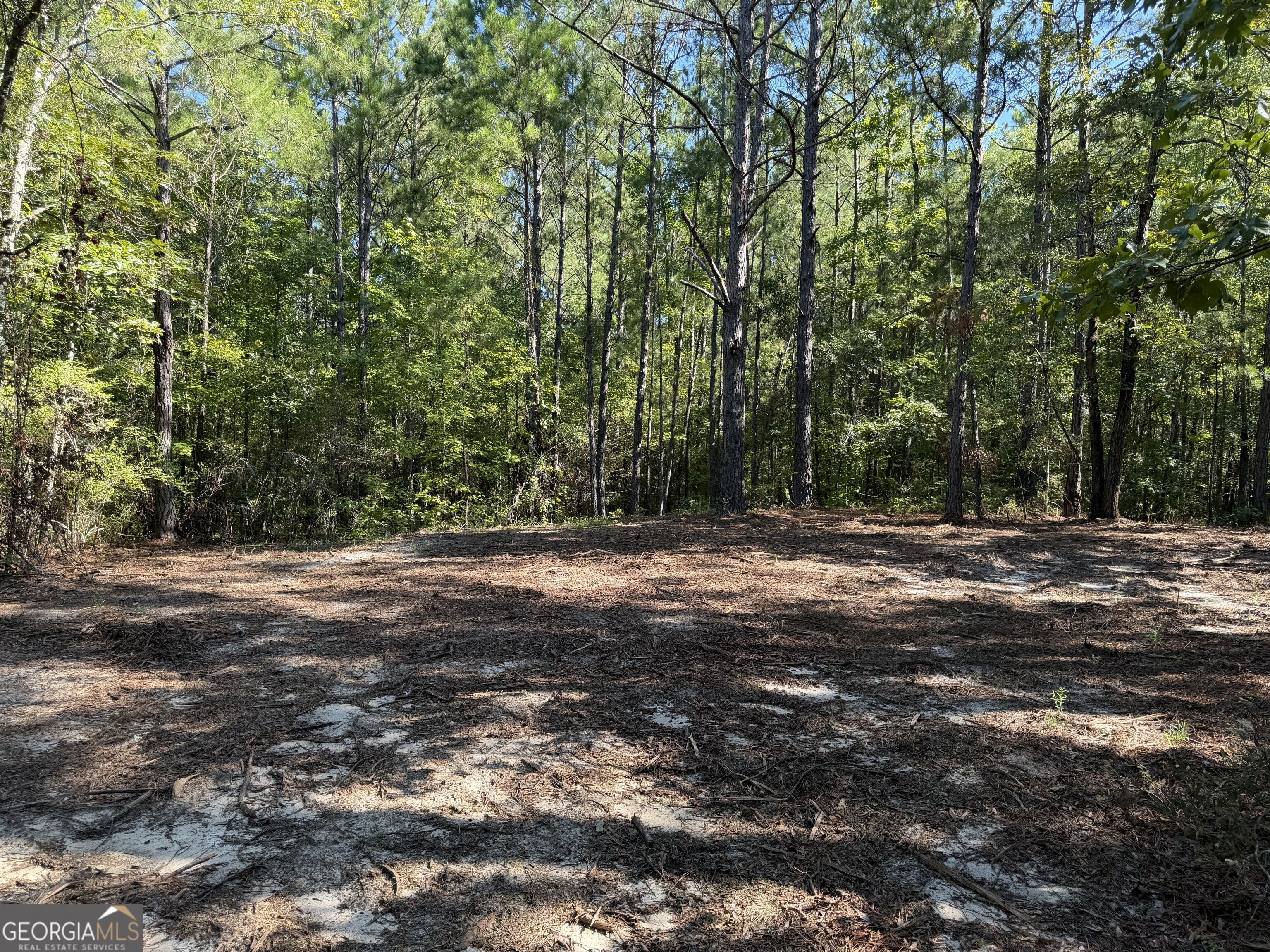 0 Pig Road Property Photo 34