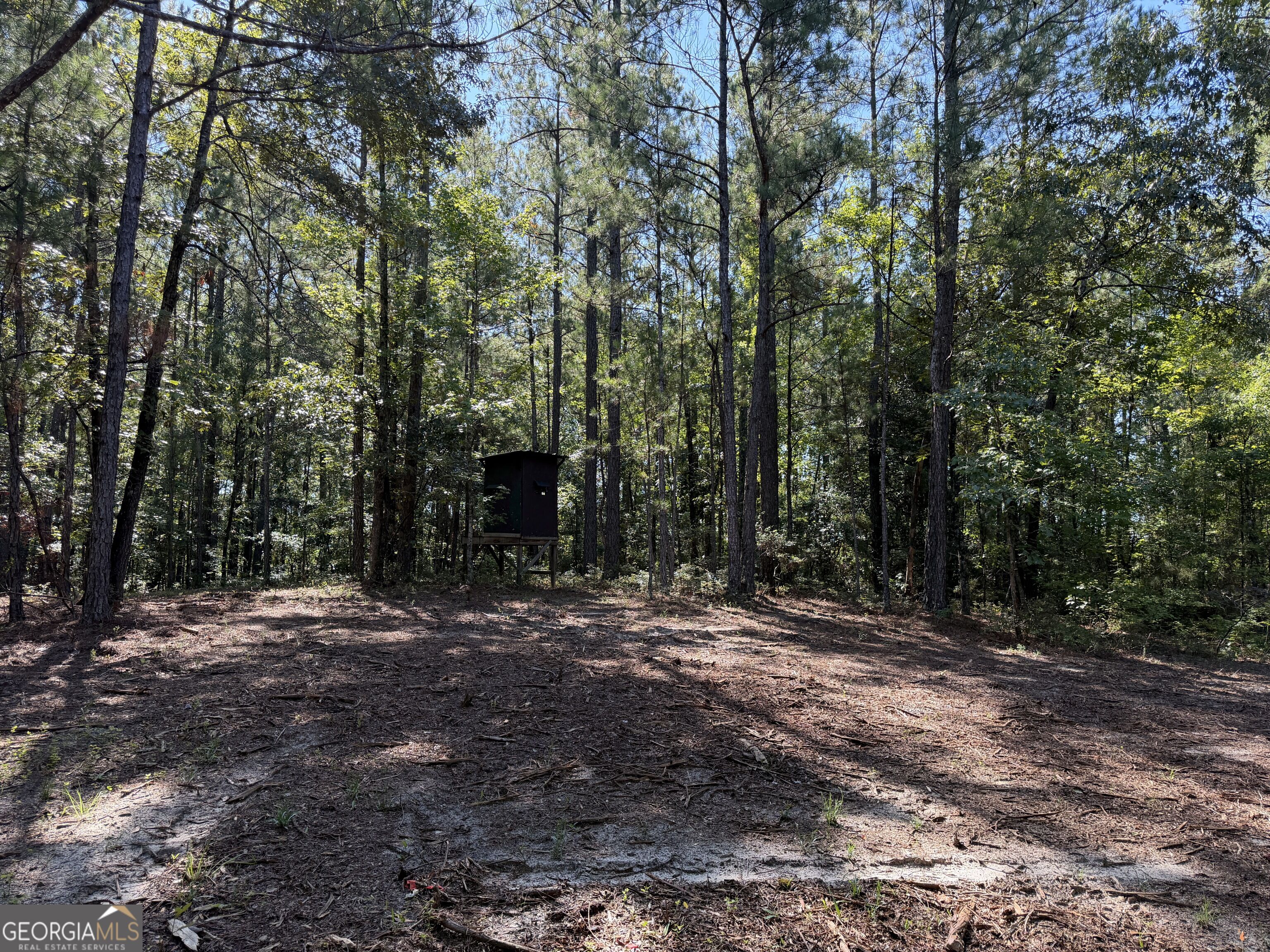 0 Pig Road Property Photo 35