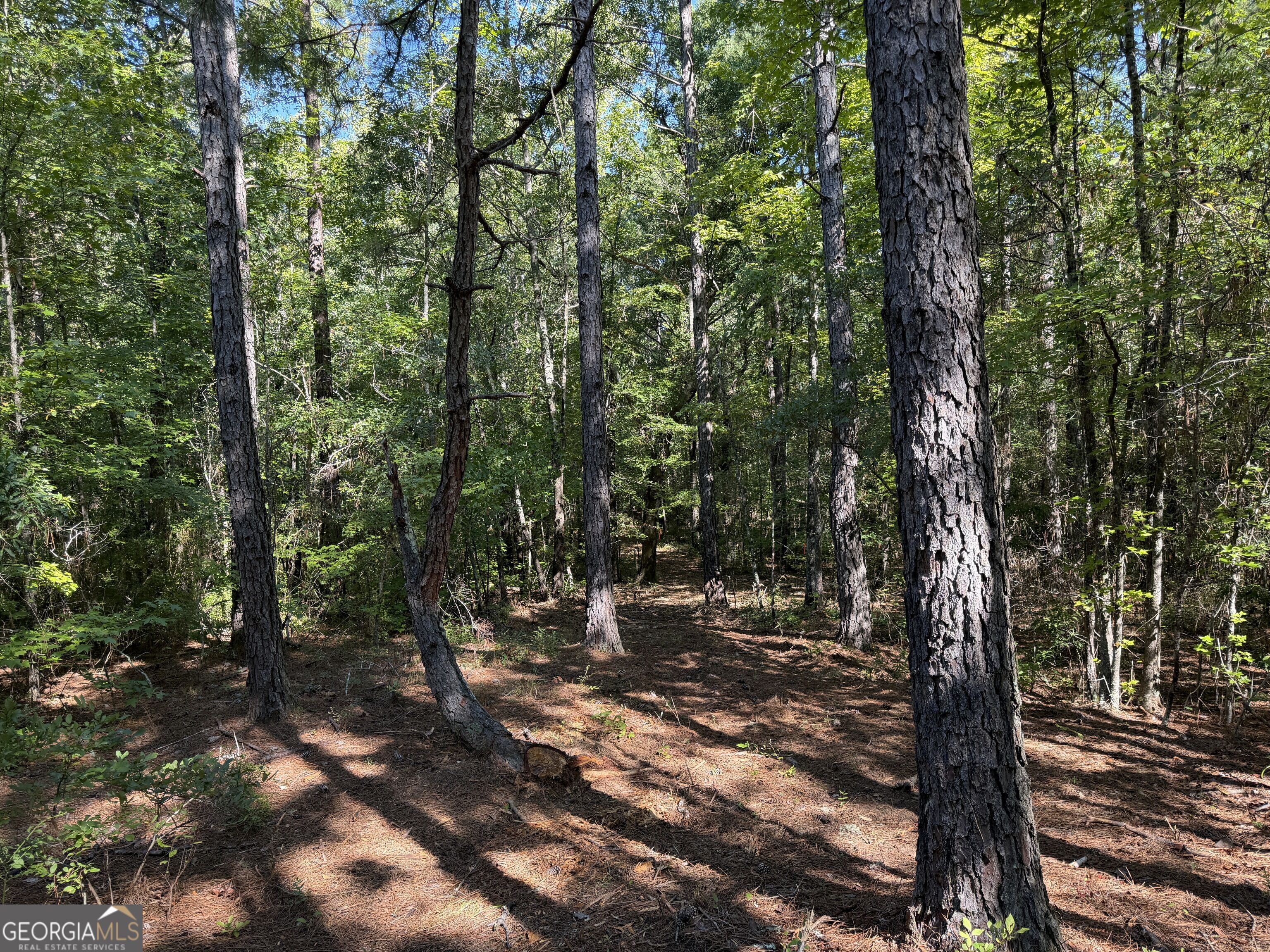 0 Pig Road Property Photo 36