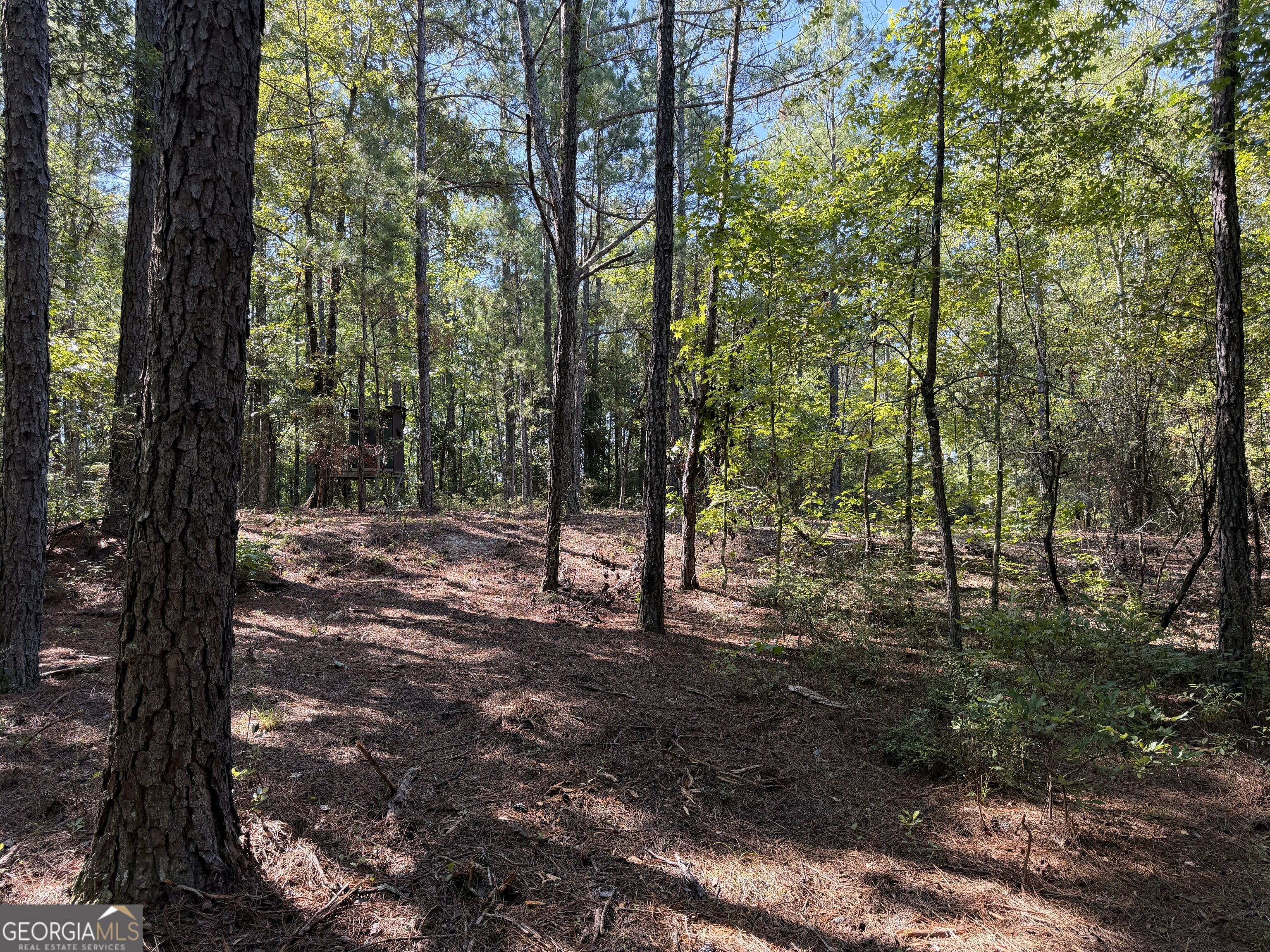 0 Pig Road Property Photo 37
