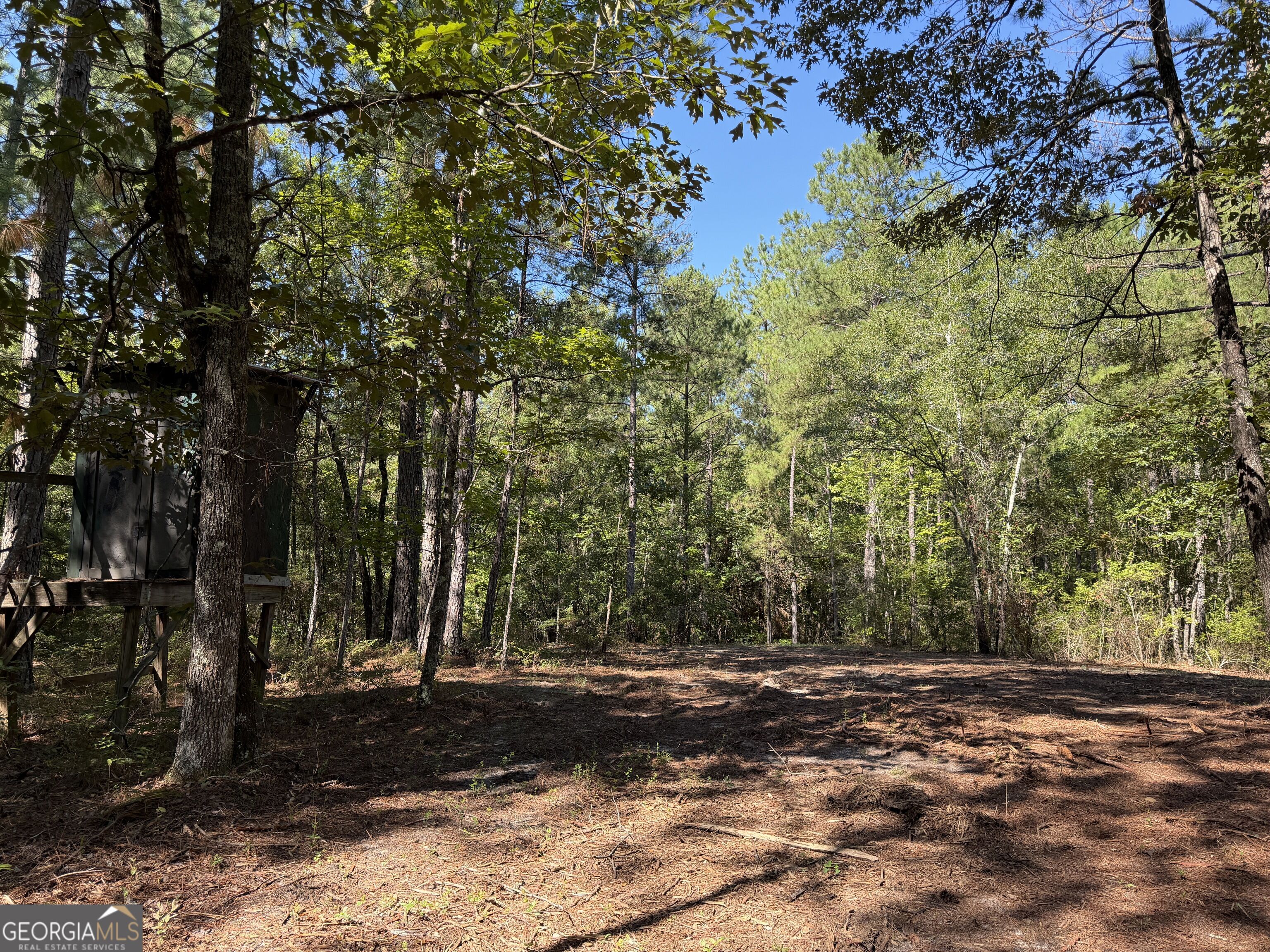 0 Pig Road Property Photo 38