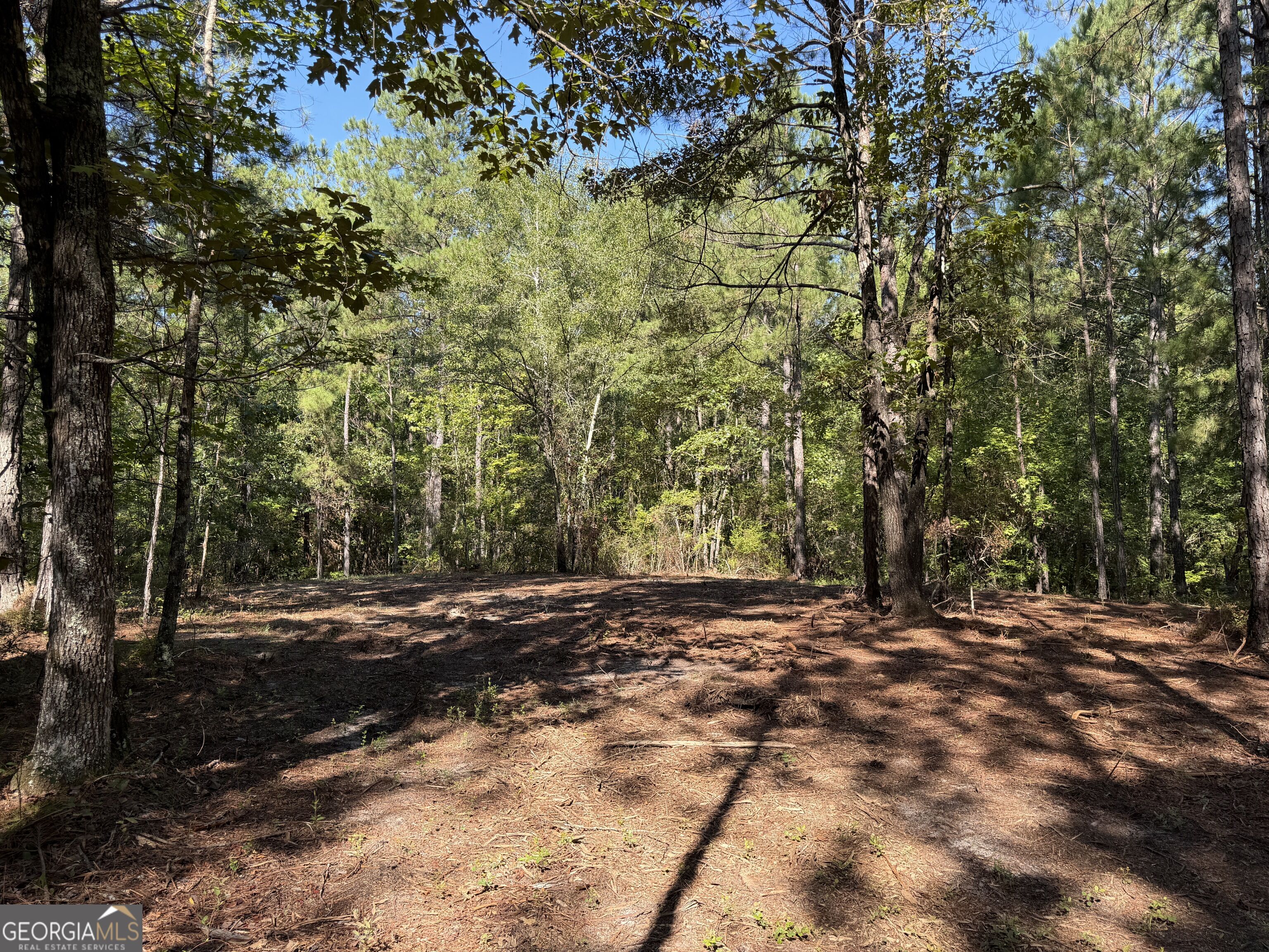 0 Pig Road Property Photo 39