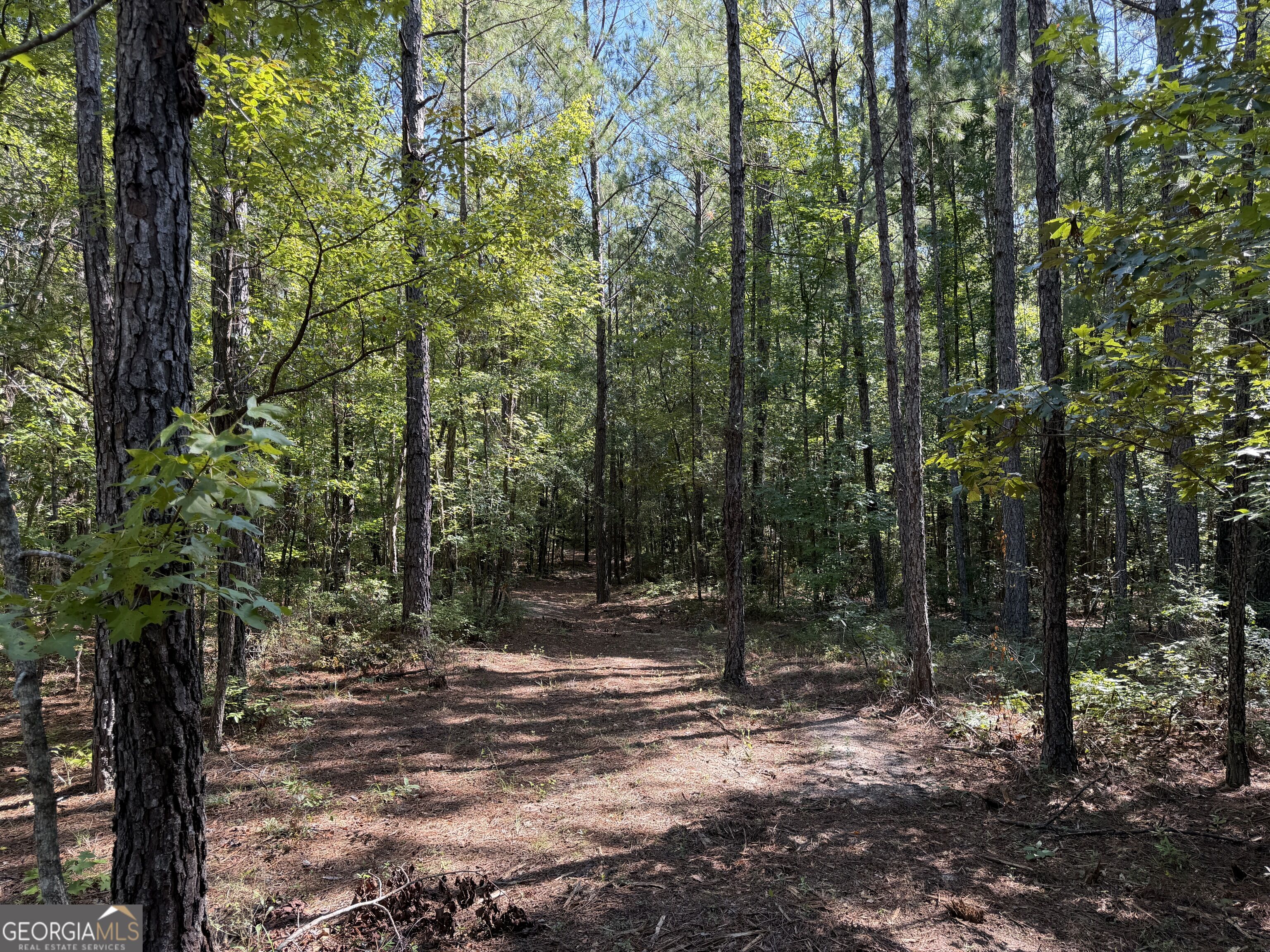0 Pig Road Property Photo 40