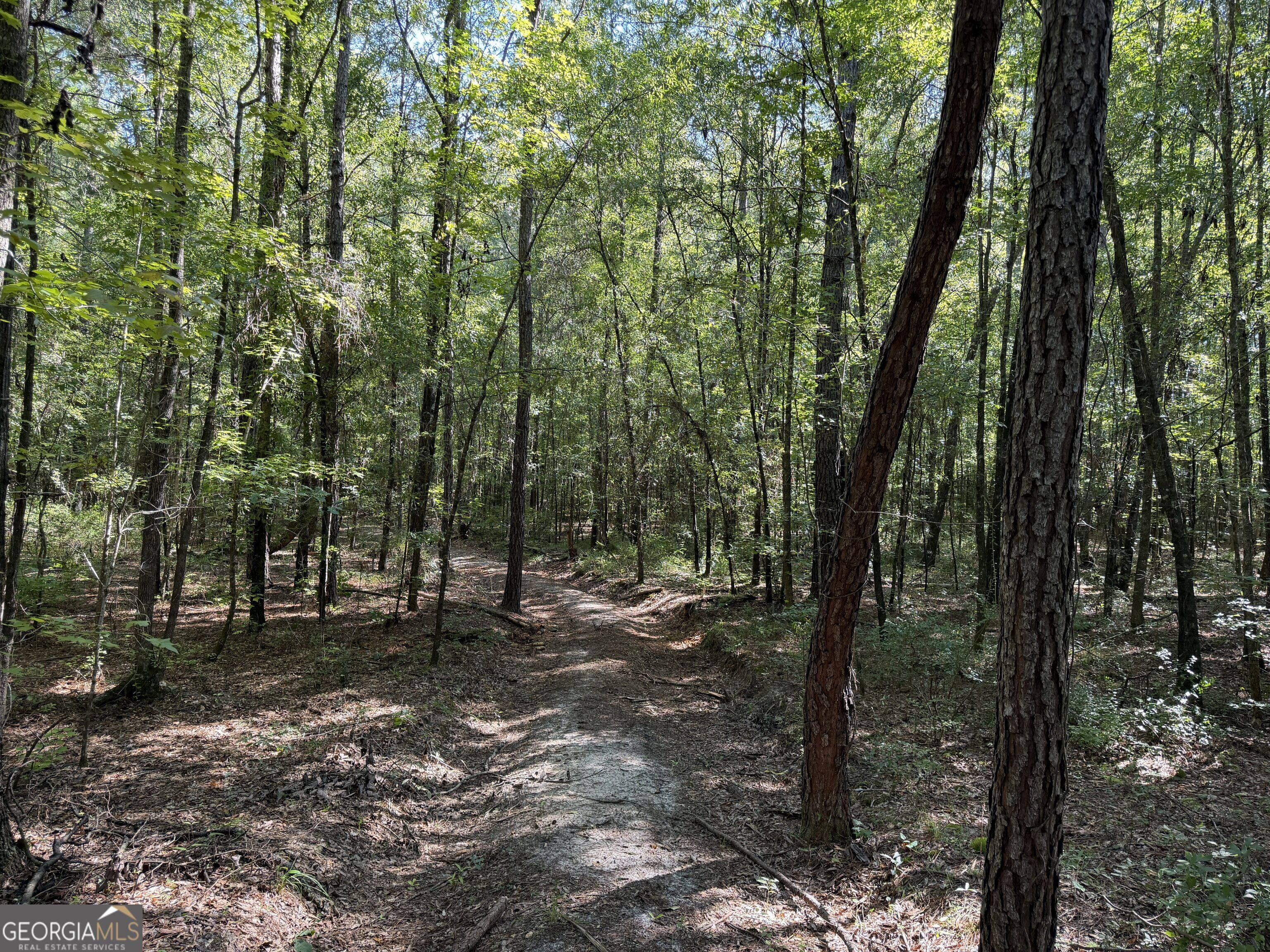 0 Pig Road Property Photo 41