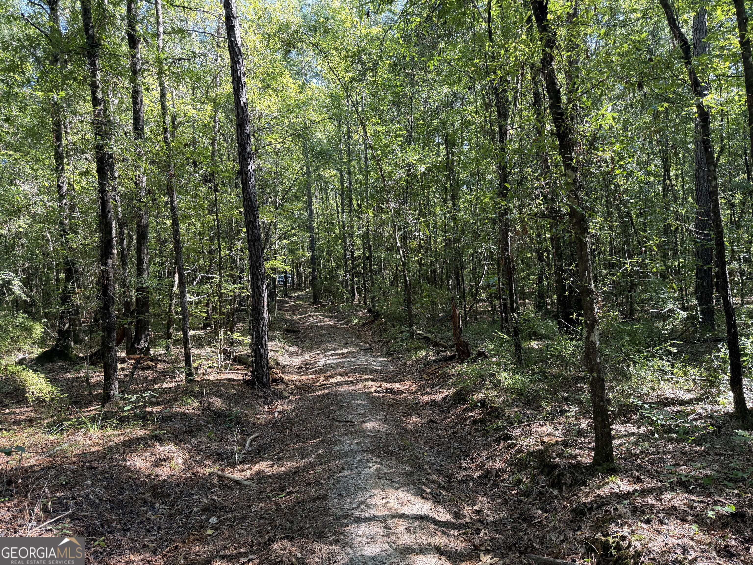 0 Pig Road Property Photo 42