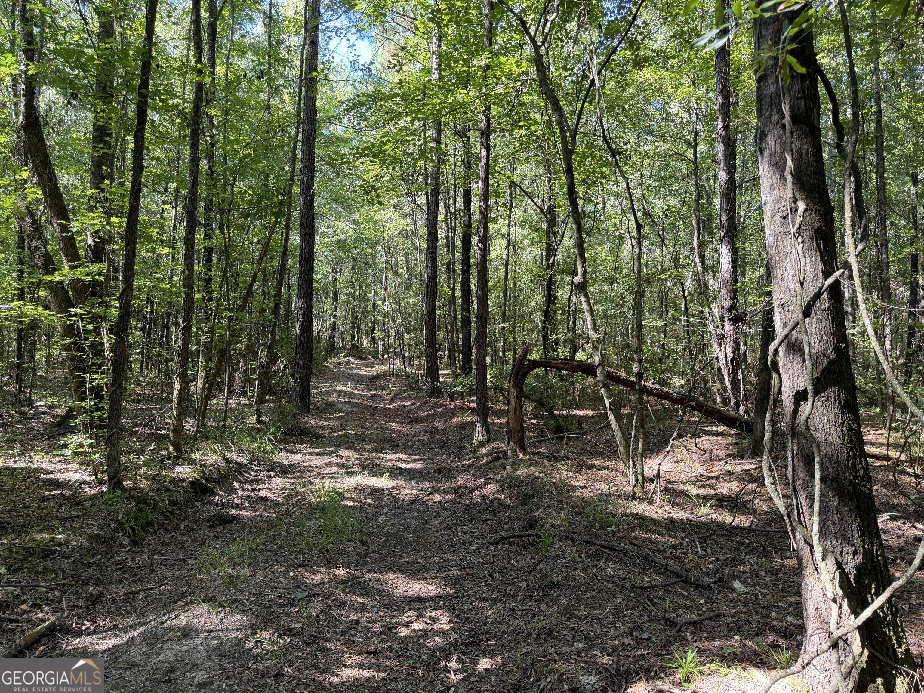 0 Pig Road Property Photo 43