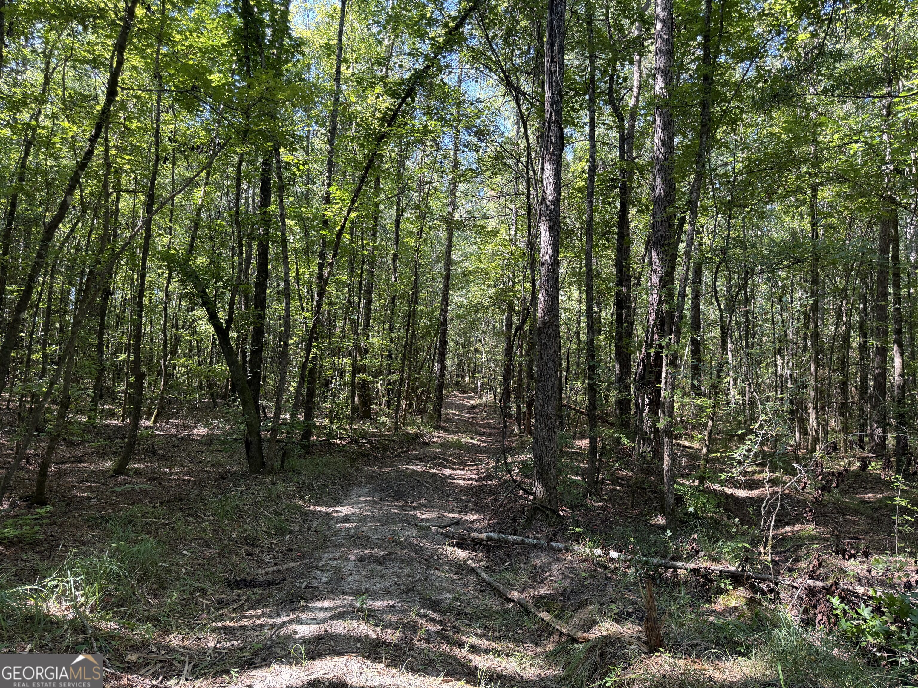 0 Pig Road Property Photo 44