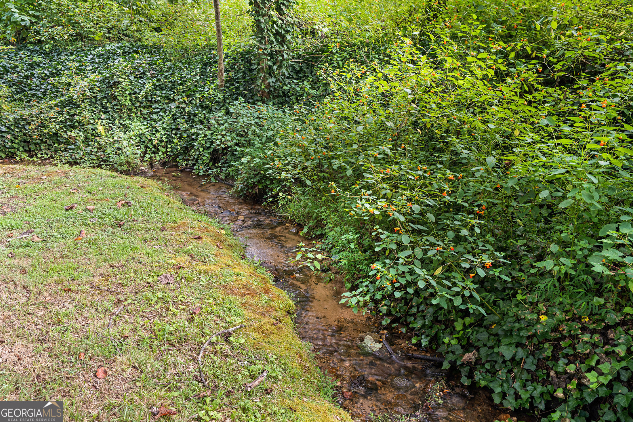 5432 Wolffork Road Property Photo 65