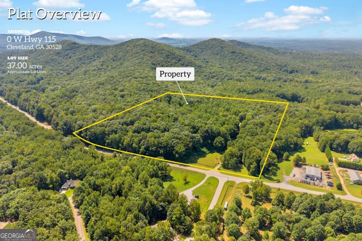 0 Highway 115 Property Photo 3