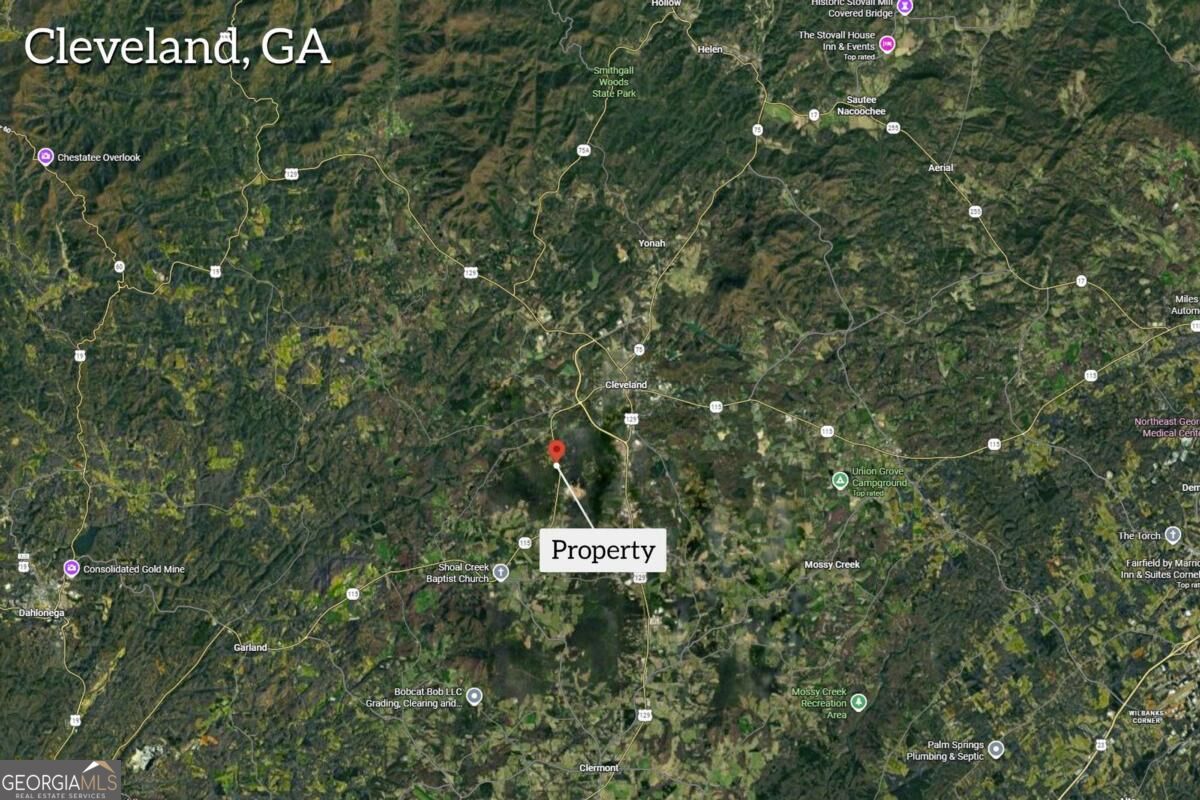 0 Highway 115 Property Photo 4