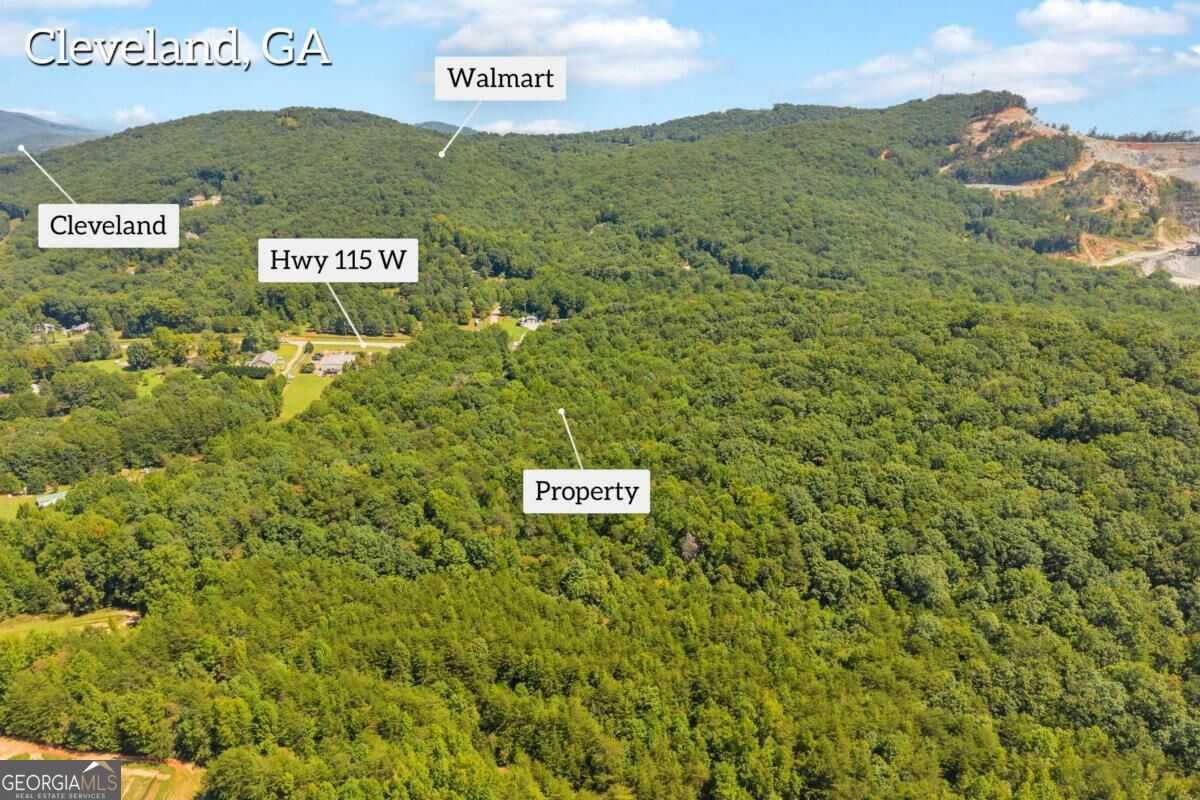 0 Highway 115 Property Photo 8