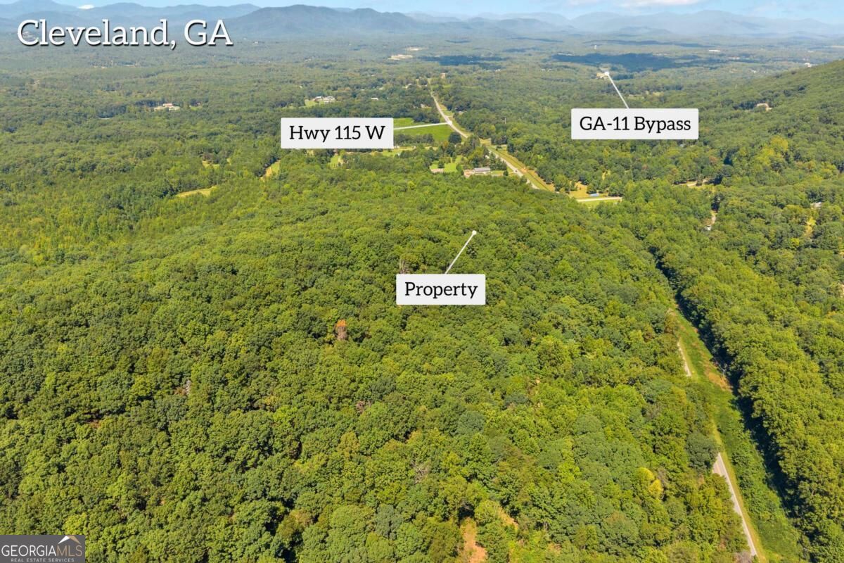 0 Highway 115 Property Photo 10