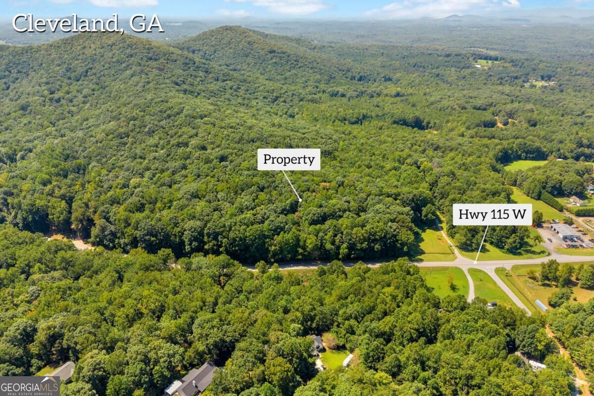 0 Highway 115 Property Photo 12