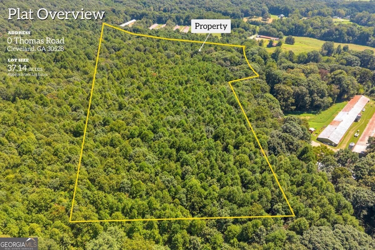 0 Thomas Road Property Photo 3