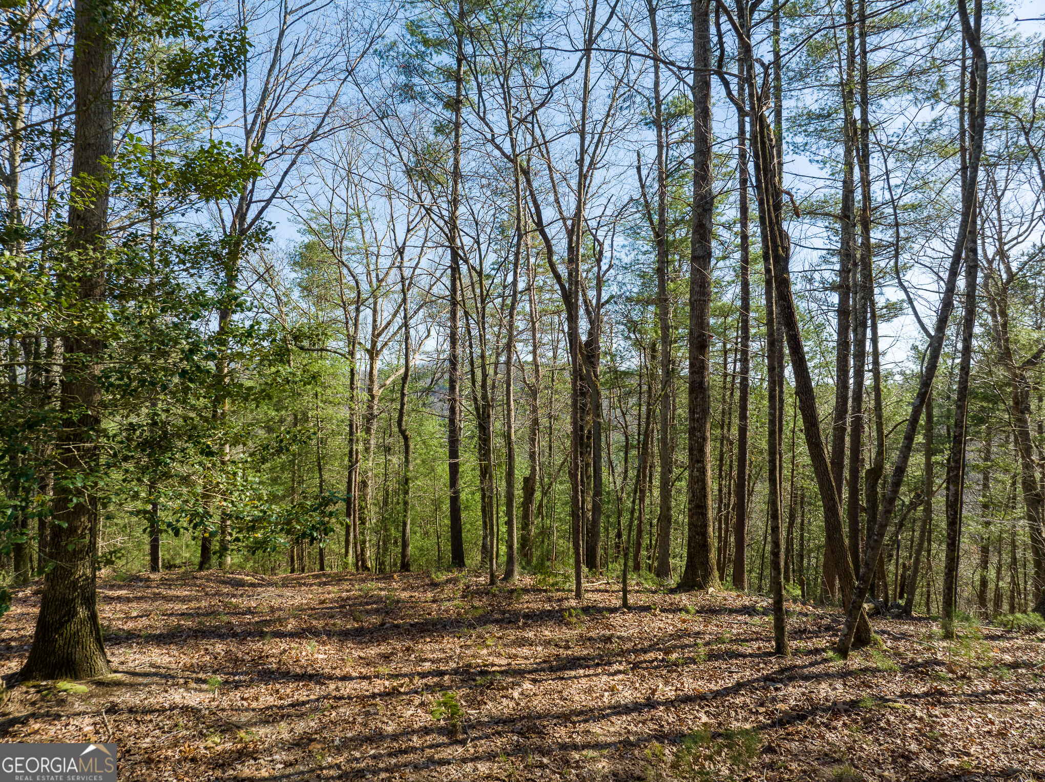 0 Coatopa Court Property Photo 4