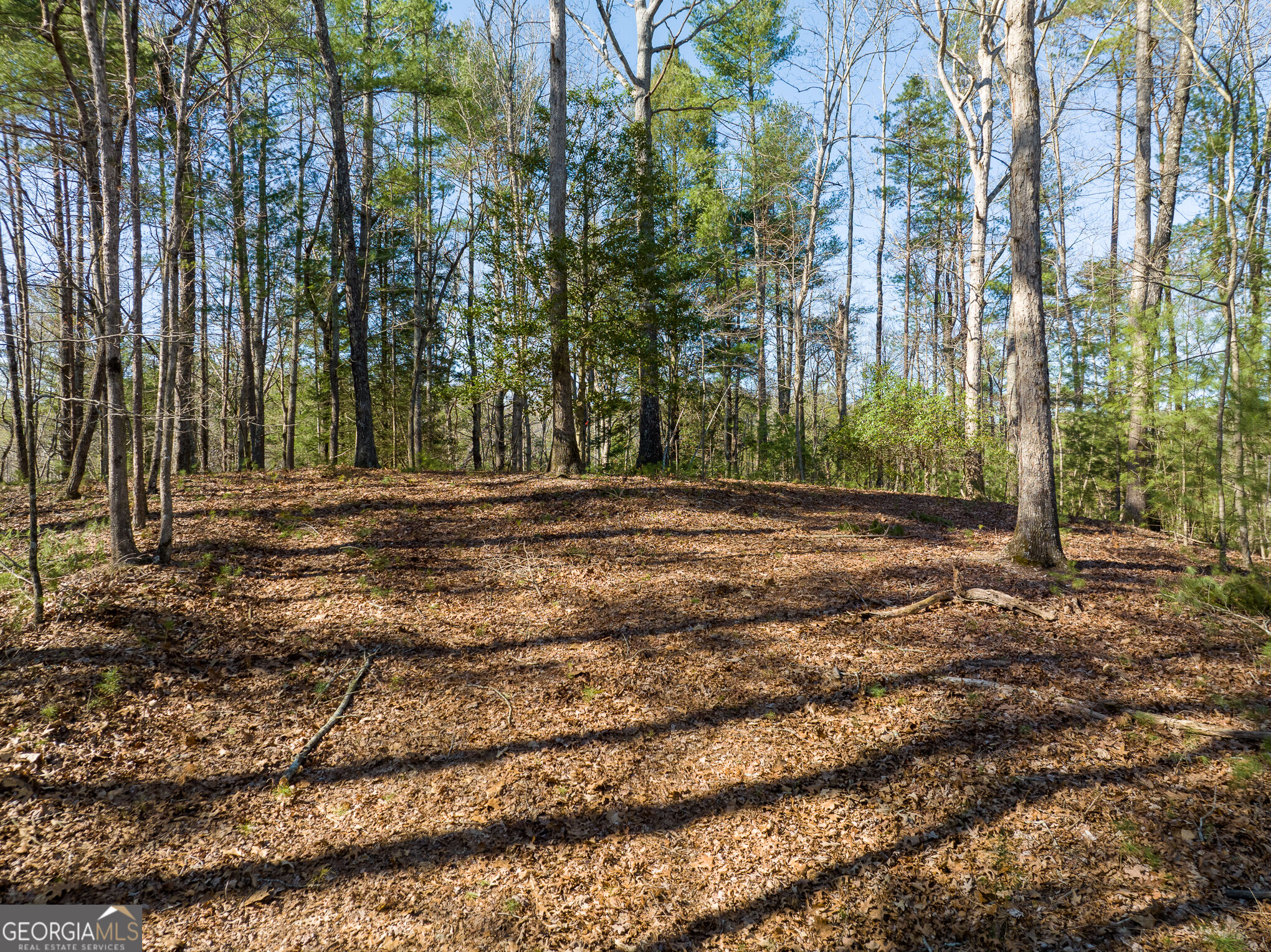 0 Coatopa Court Property Photo 6
