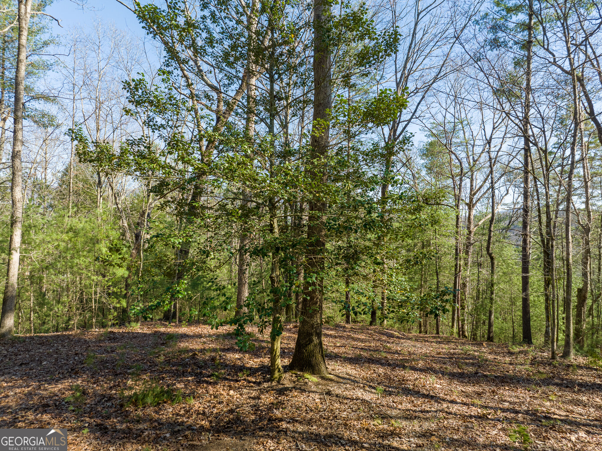 0 Coatopa Court Property Photo 12