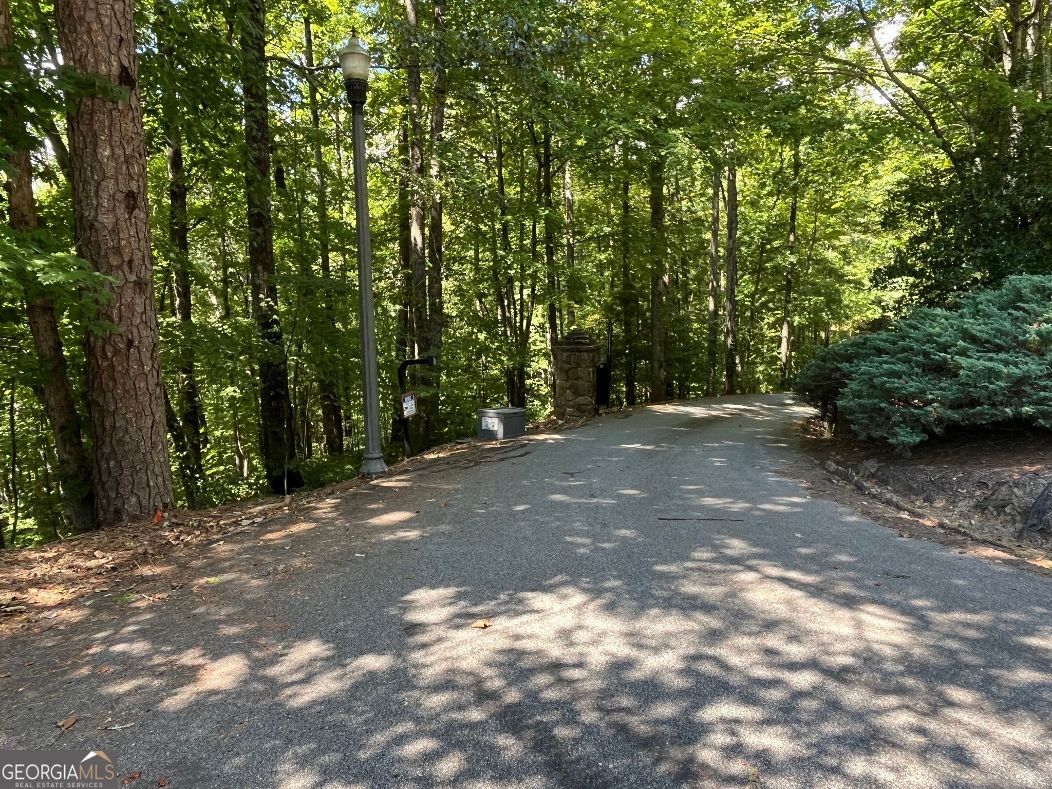 Lot 7 Forest Canopy Way Property Photo 3
