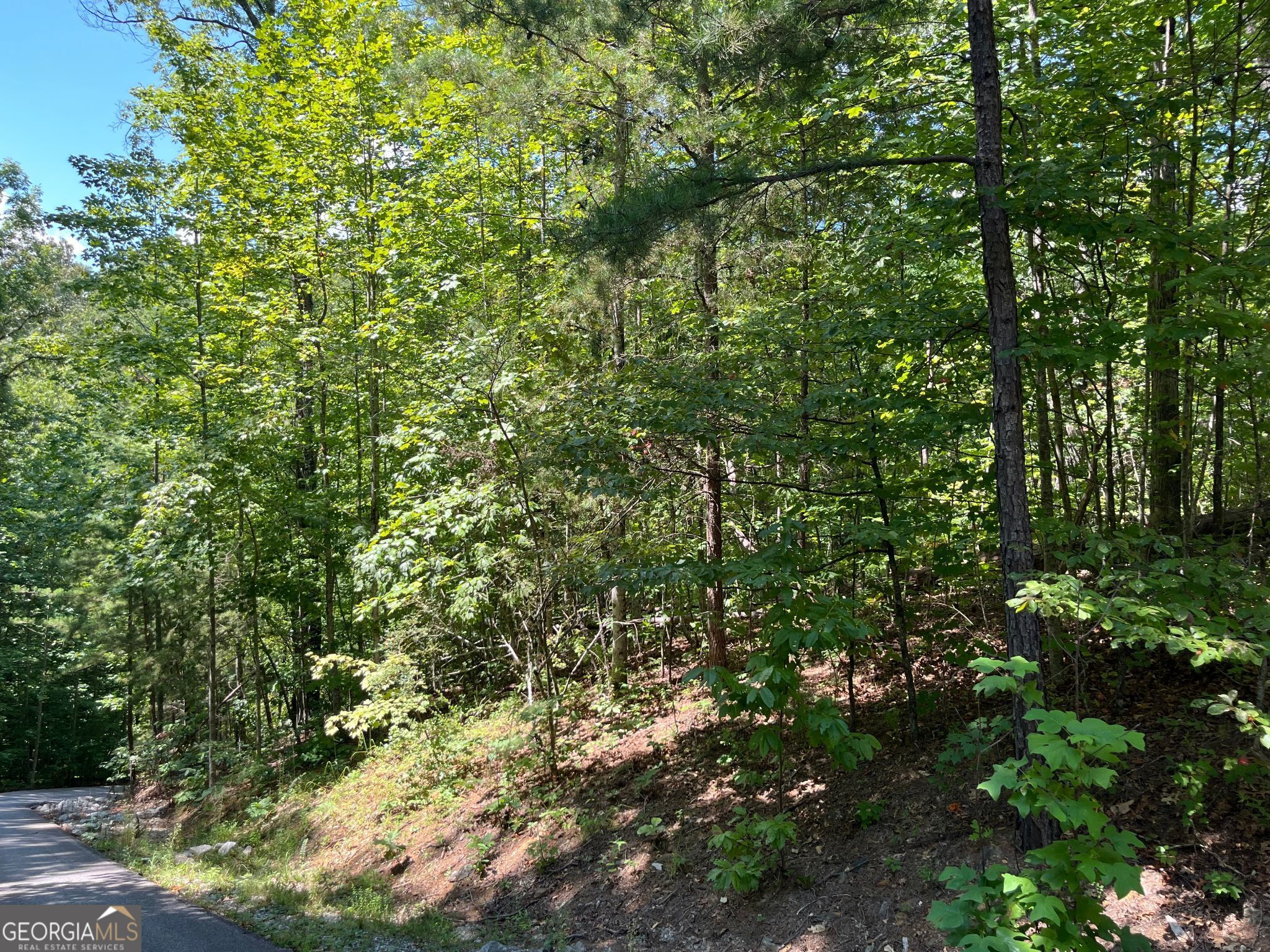 Lot 7 Forest Canopy Way Property Photo 6