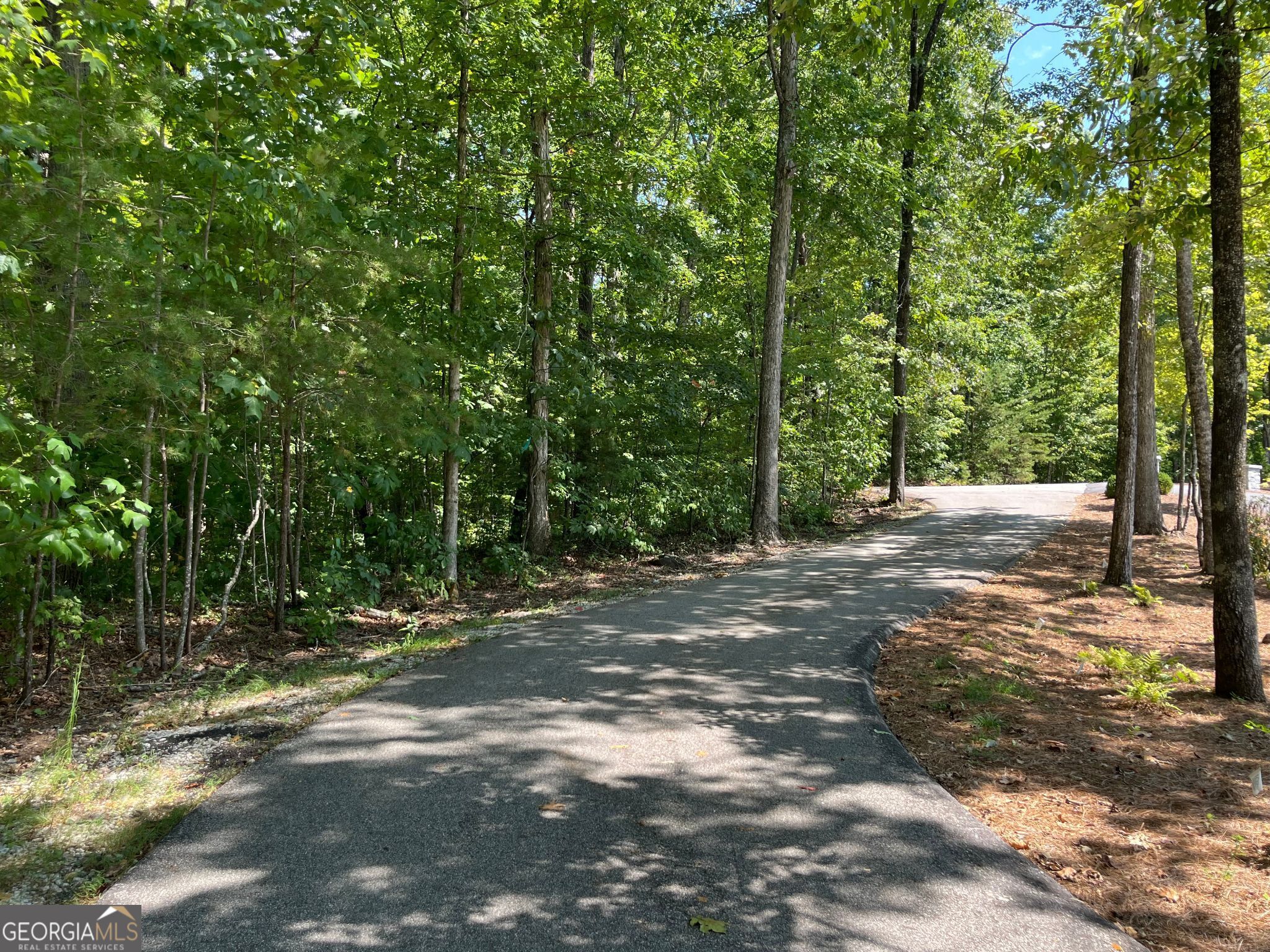 Lot 7 Forest Canopy Way Property Photo 8