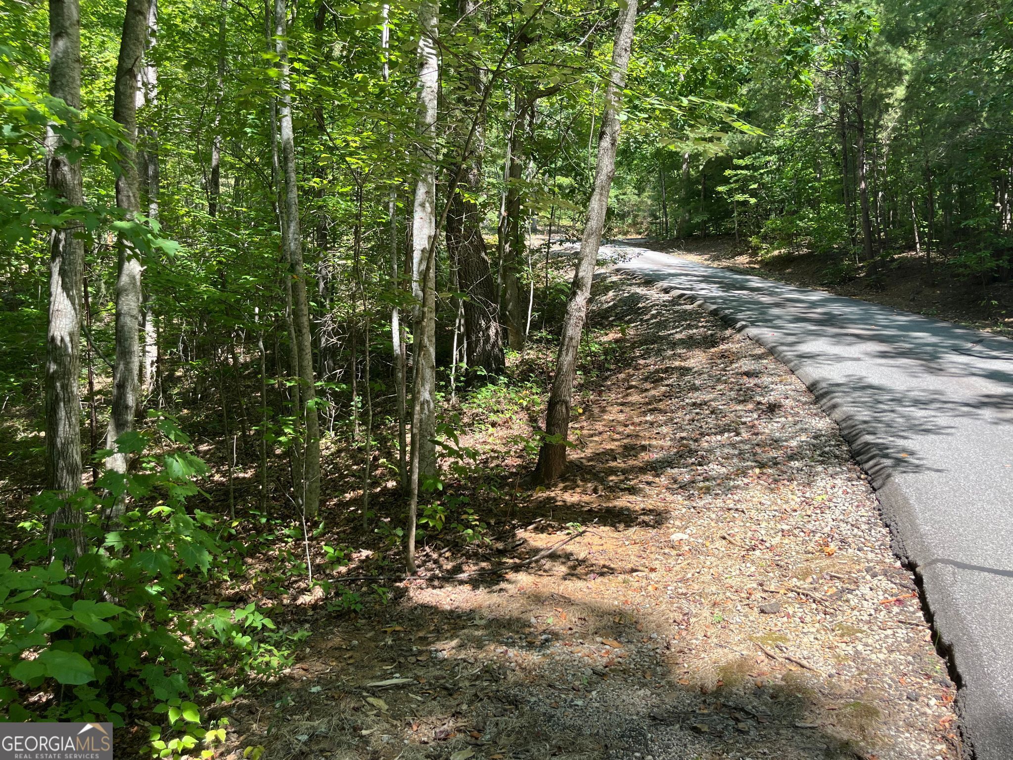 Lot 7 Forest Canopy Way Property Photo 9