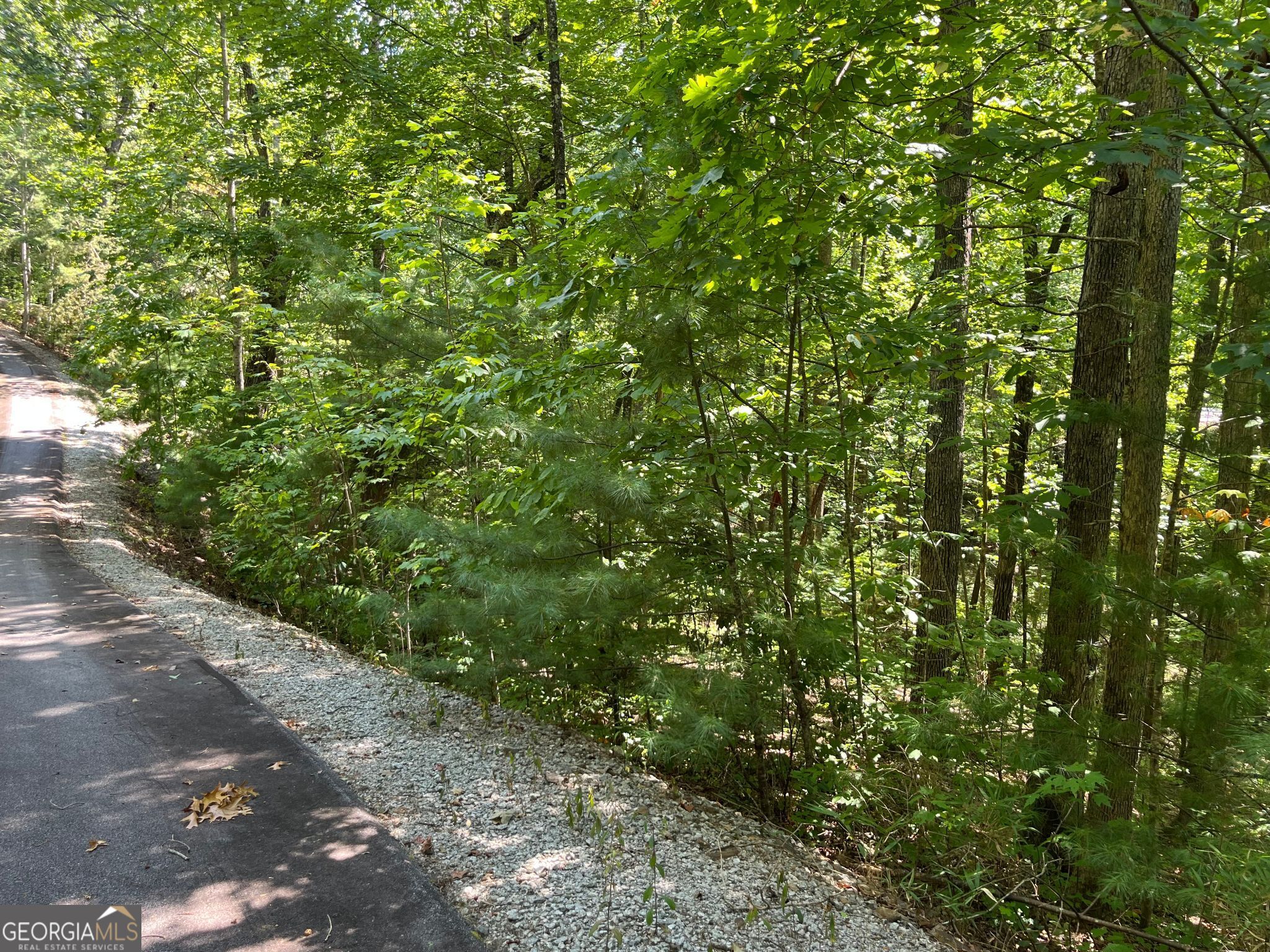 Lot 7 Forest Canopy Way Property Photo 10
