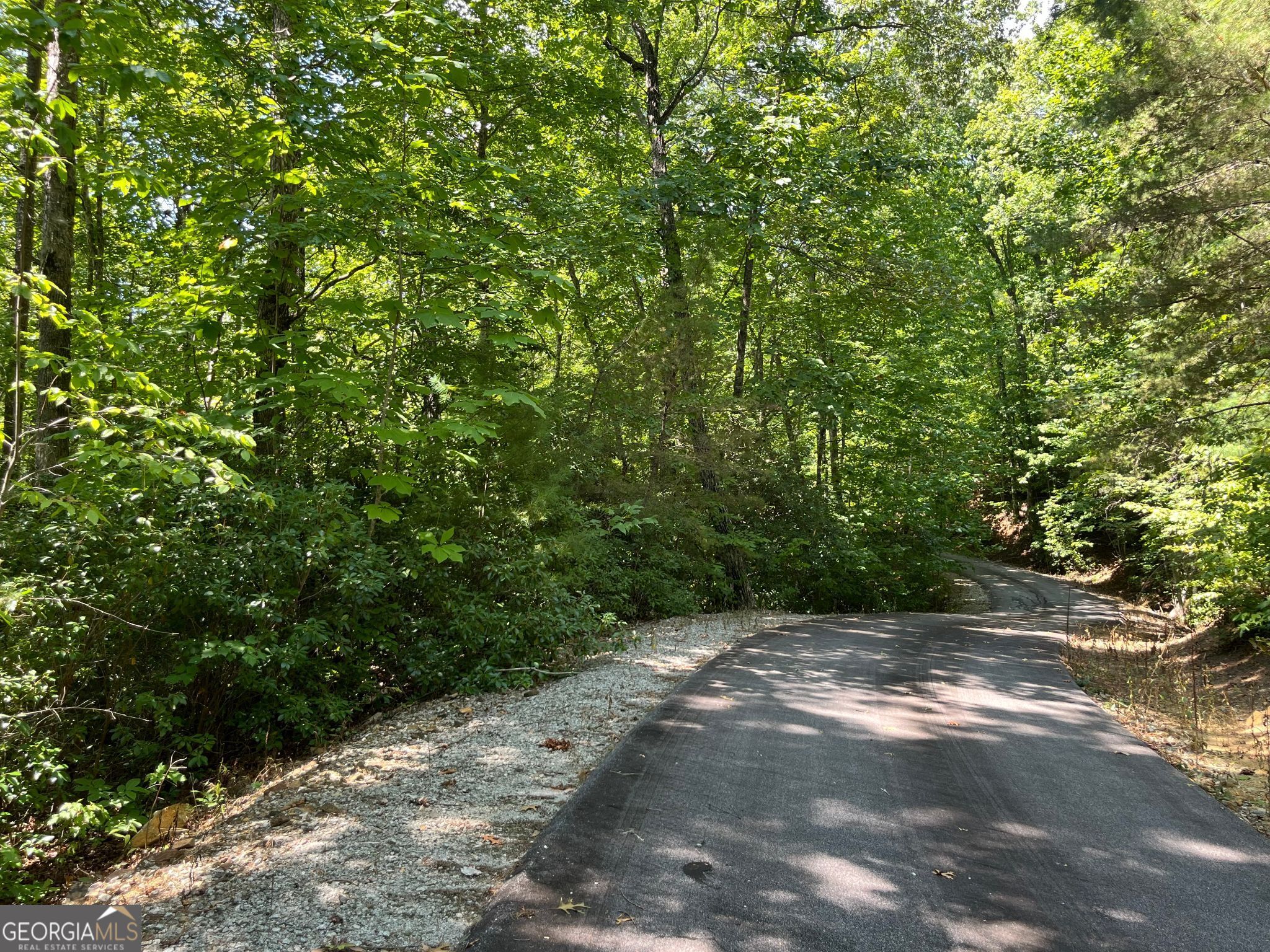 Lot 7 Forest Canopy Way Property Photo 11