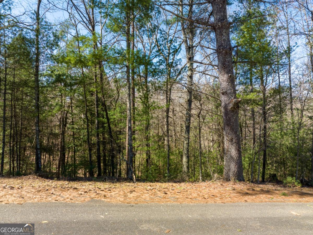 LOT 164 Shenendoa Drive