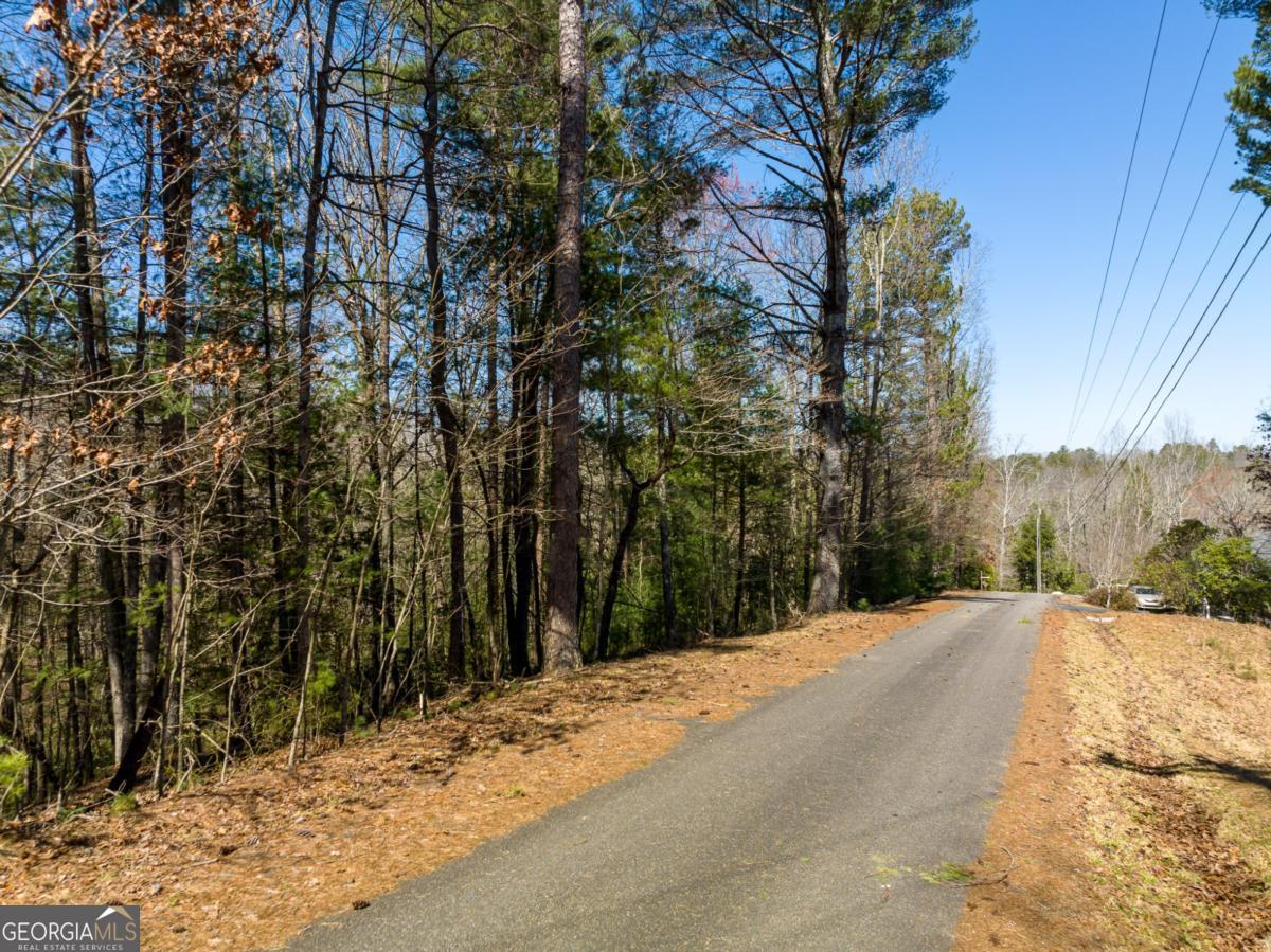 Lot 164 Shenendoa Drive Property Photo 4