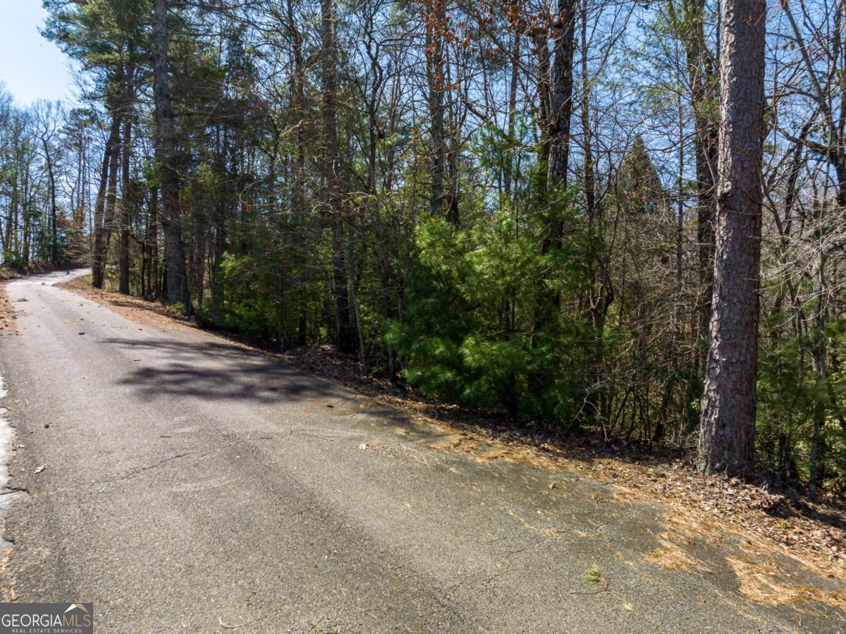 Lot 164 Shenendoa Drive Property Photo 5