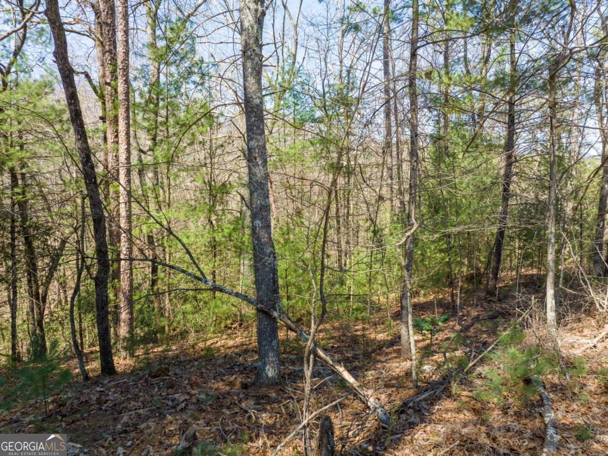 Lot 164 Shenendoa Drive Property Photo 6