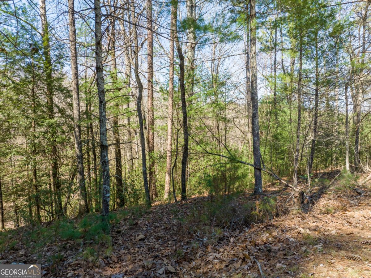Lot 164 Shenendoa Drive Property Photo 7