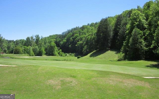 Lot 164 Shenendoa Drive Property Photo 11