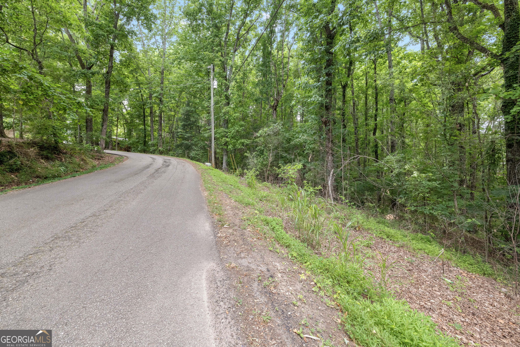 2730 Vaughandale Circle Property Photo 4