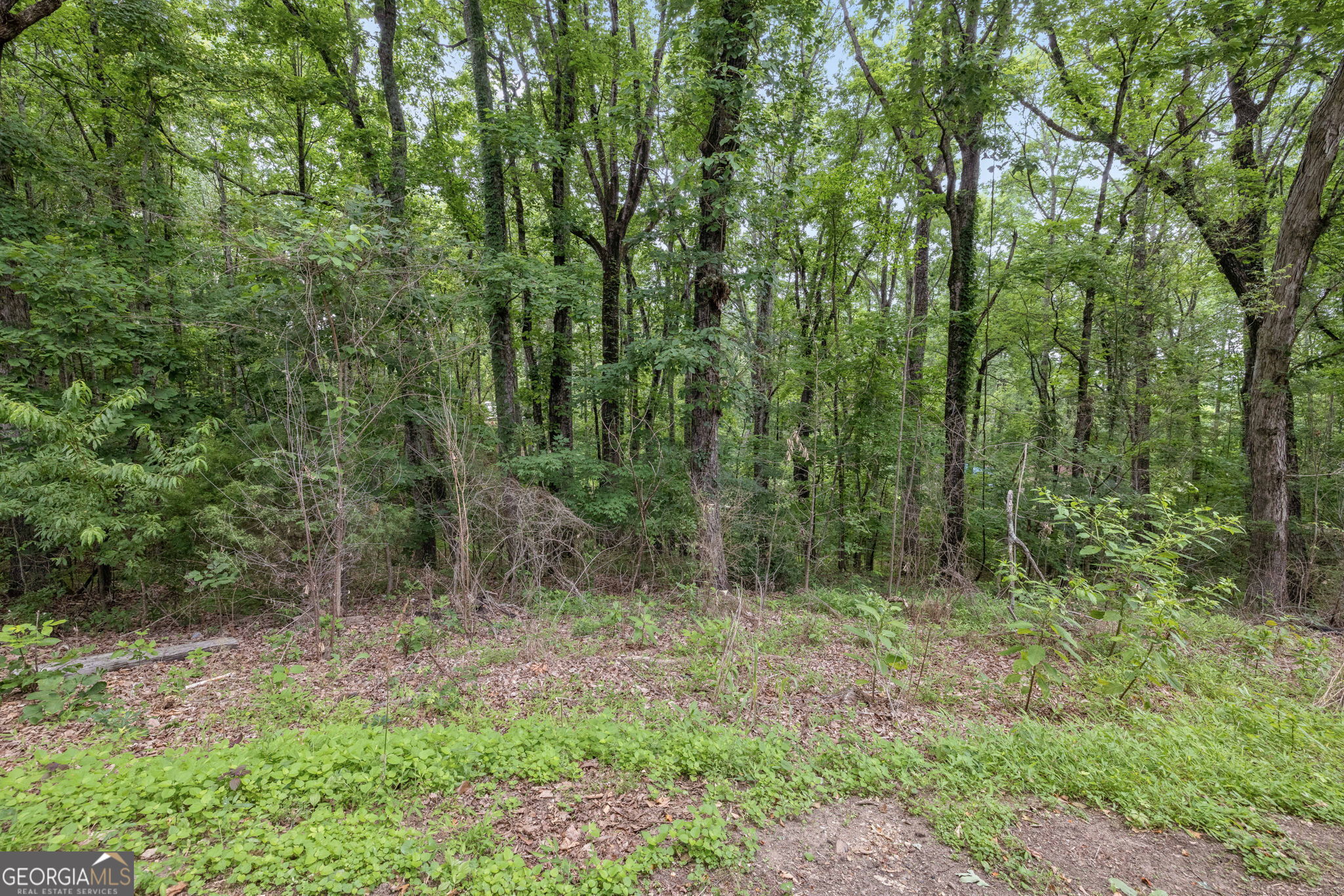 2730 Vaughandale Circle Property Photo 5