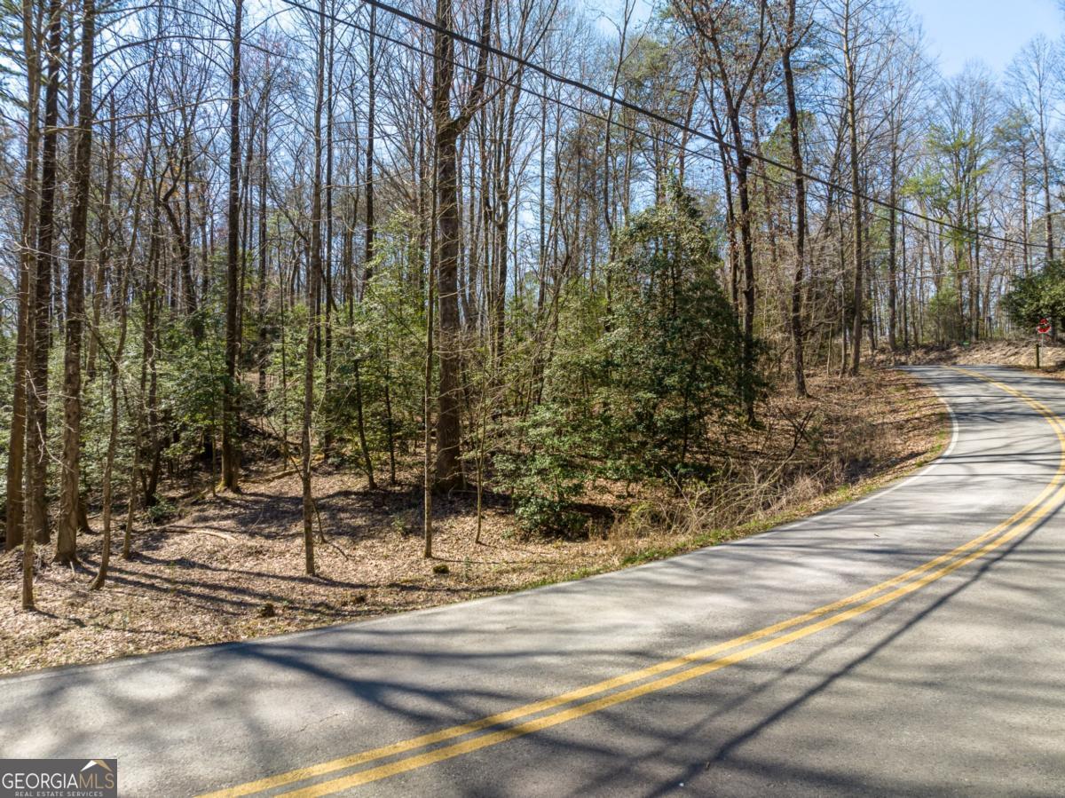 LOT 193 Shenendoa Drive Property Photo 1