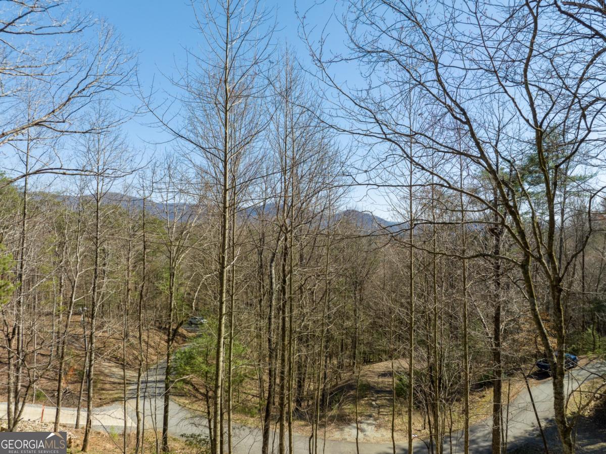 Lot 508 Chicasaw Drive Property Photo 1