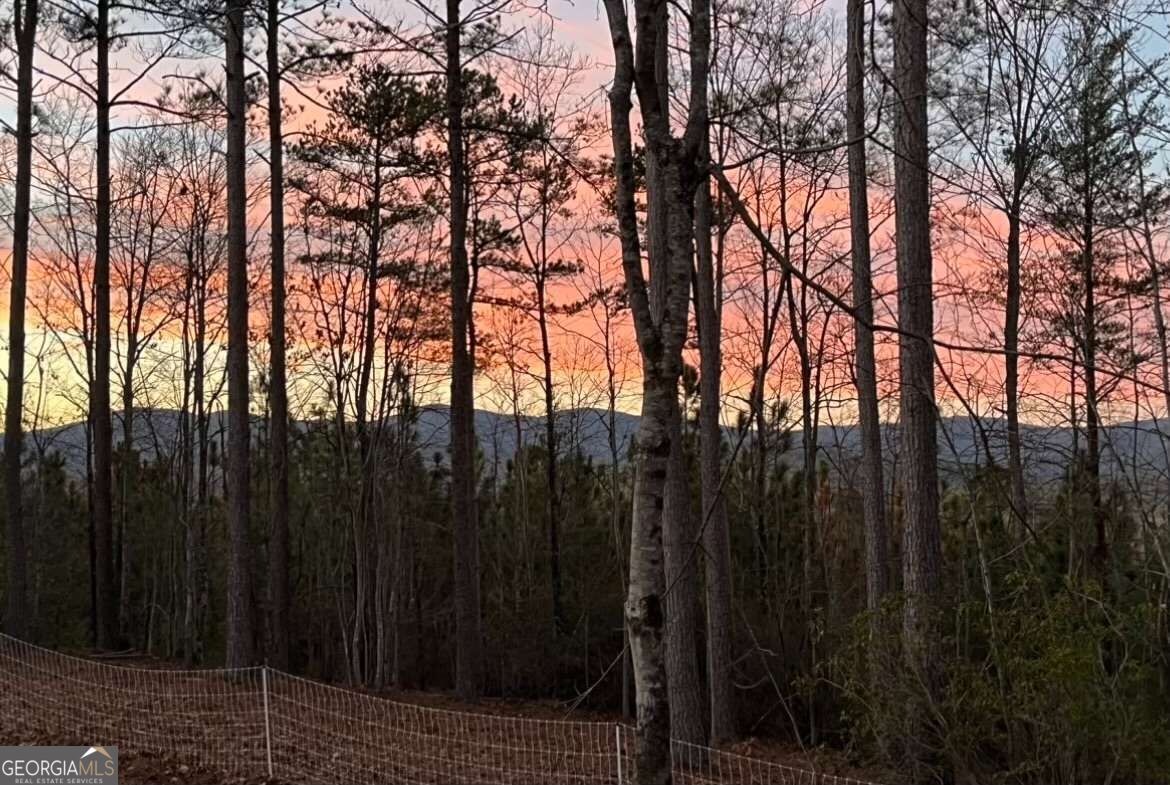 Lot 2 Highway 52 W Property Photo 1