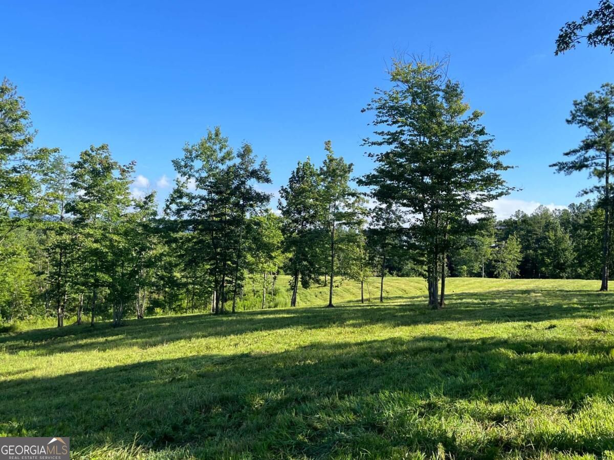 Lot 2 Highway 52 W Property Photo 2