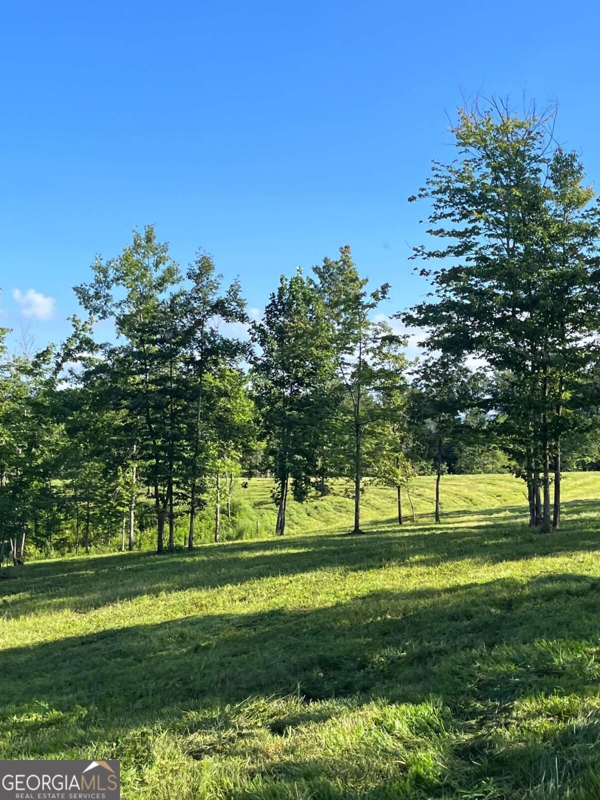Lot 2 Highway 52 W Property Photo 3